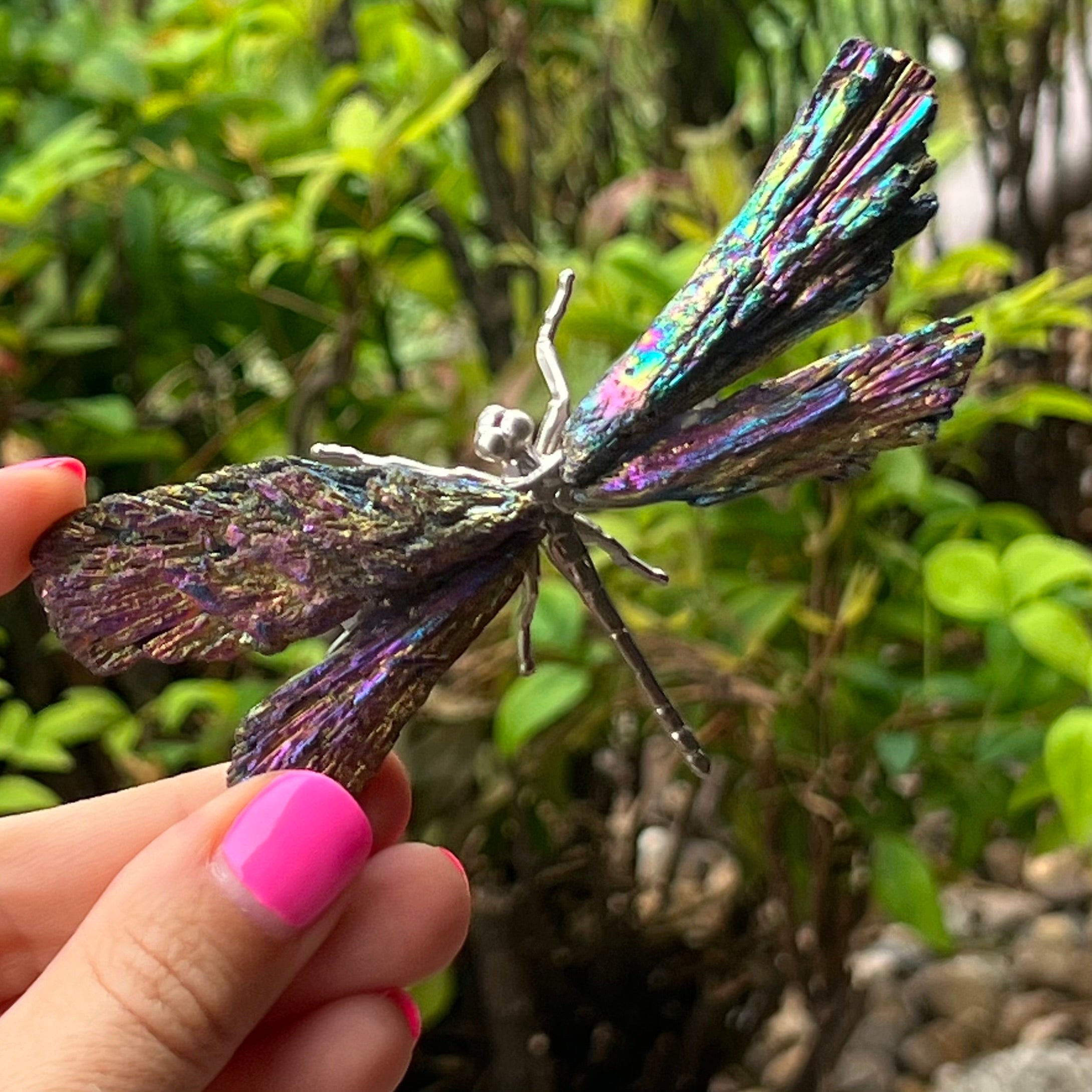 Dragon Fly ~ Rainbow Kyanite Electroplate