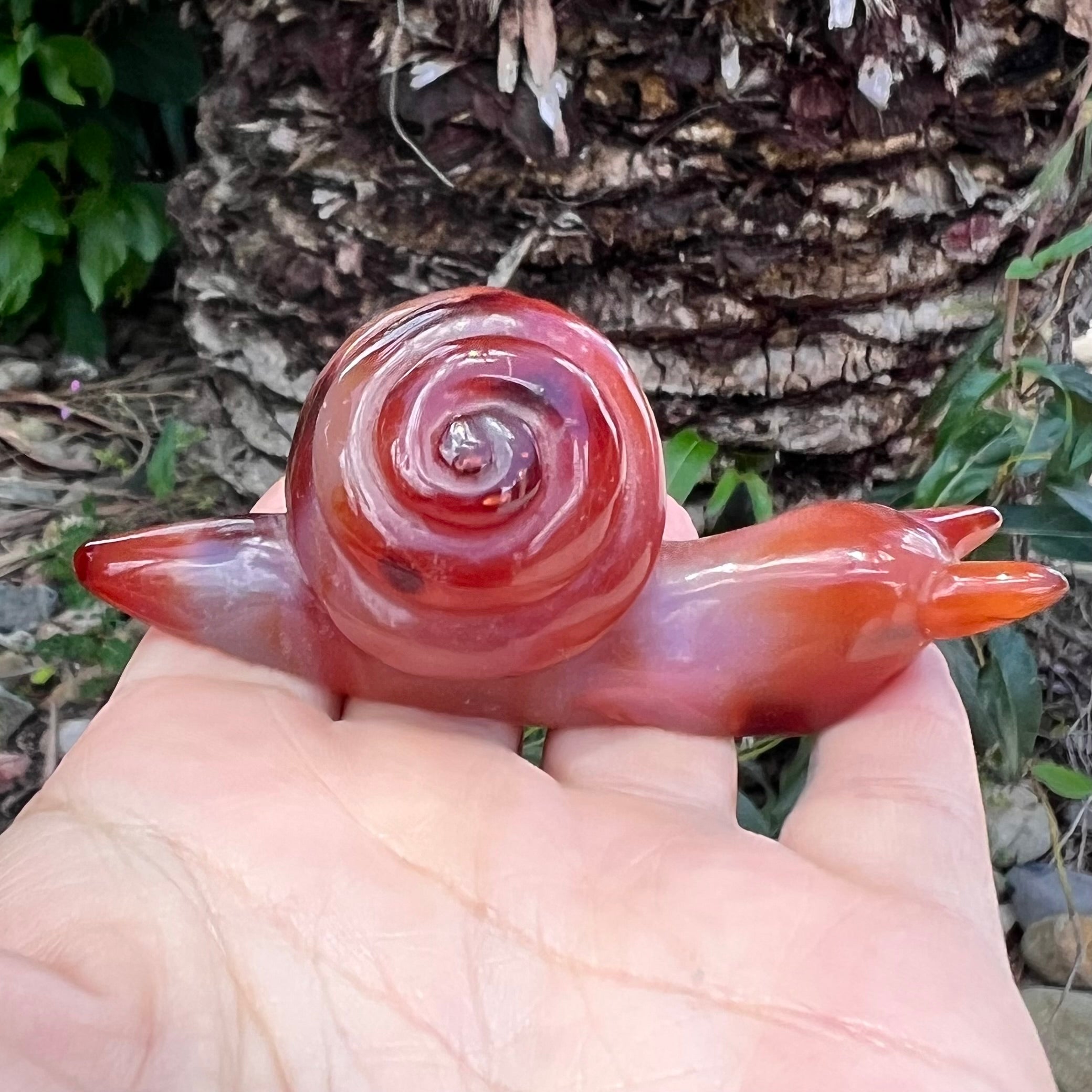 Carnelian ~ Snail of Courage