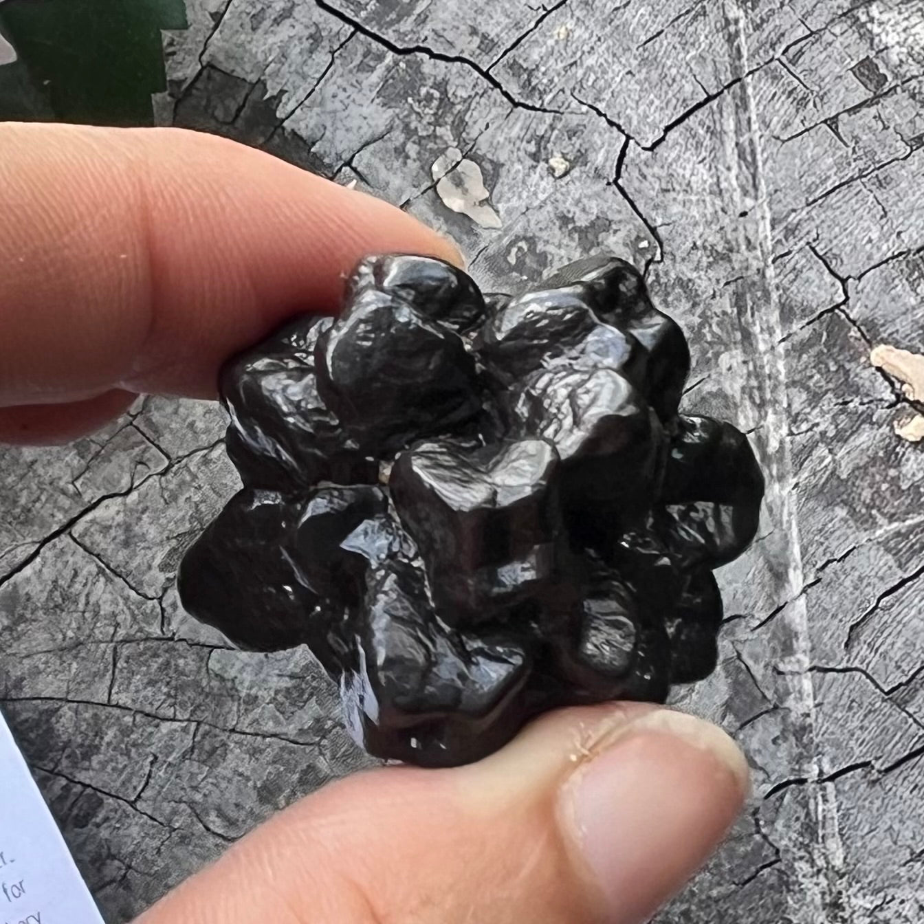 Prophecy Stone ~ Specialty Crystal ~ 3