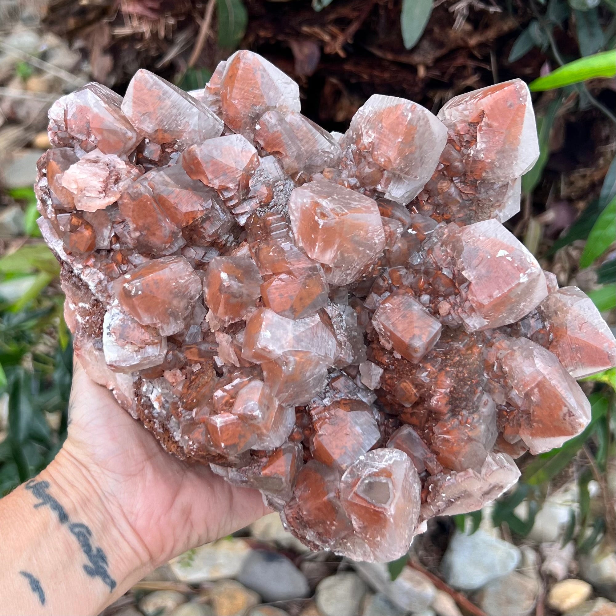 Raw Natural Red Calcite Cluster