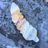 Feather of Divine Healing ~ Golden Healer