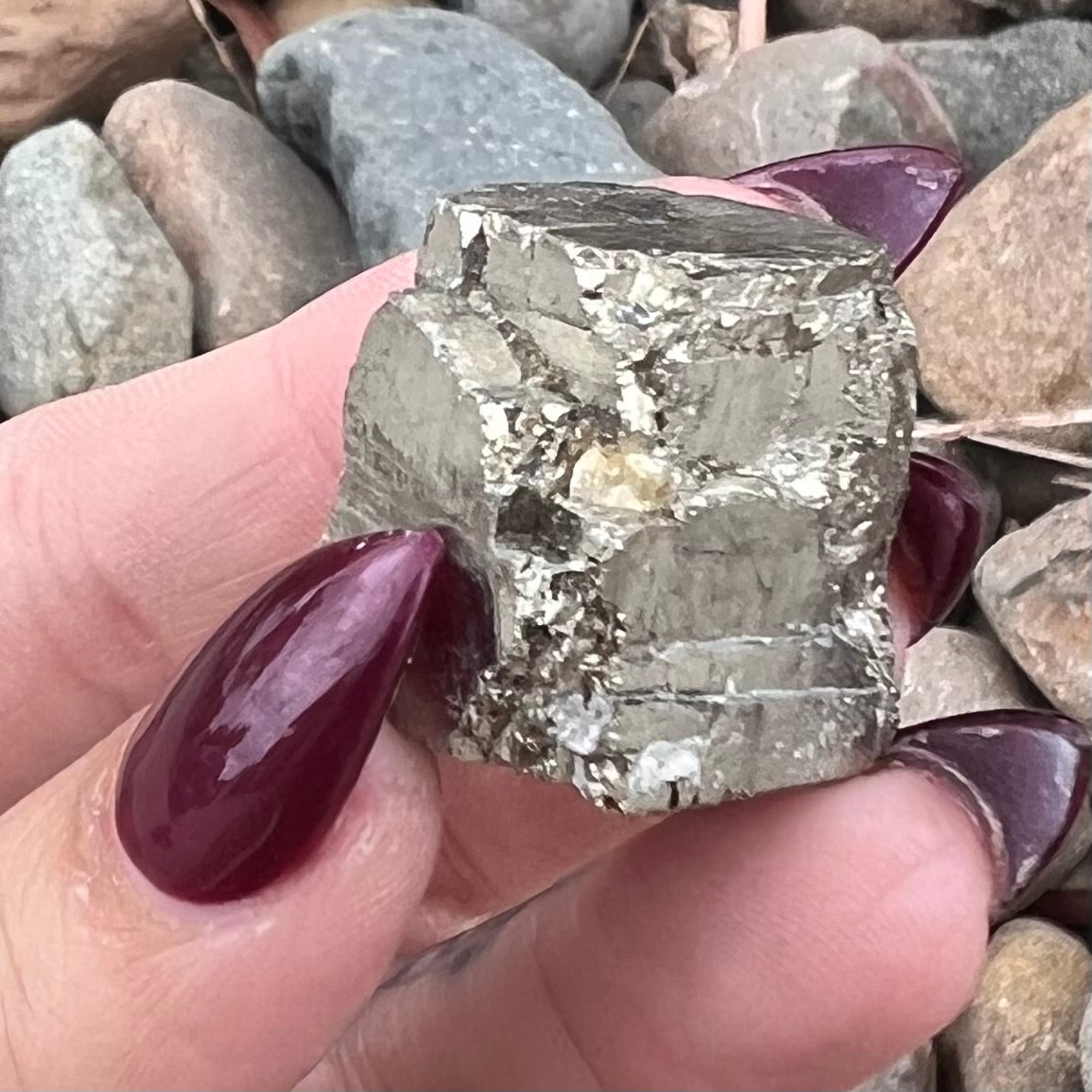 Pyrite Specimen ~ Specialty Boxed Crystal