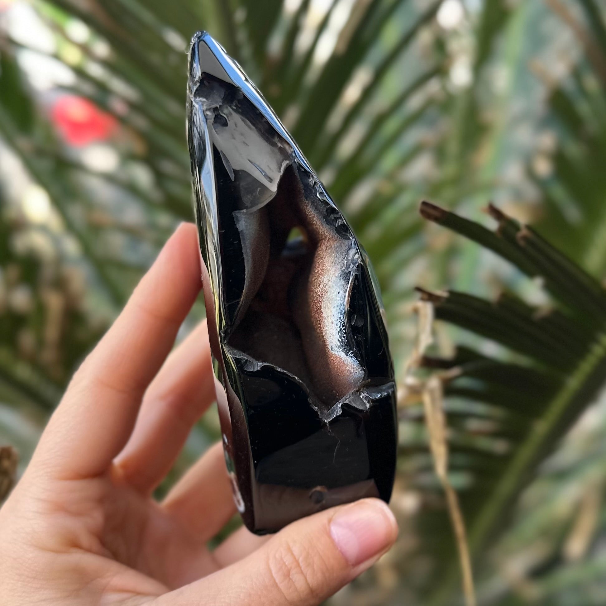 Black Flower Agate Carving