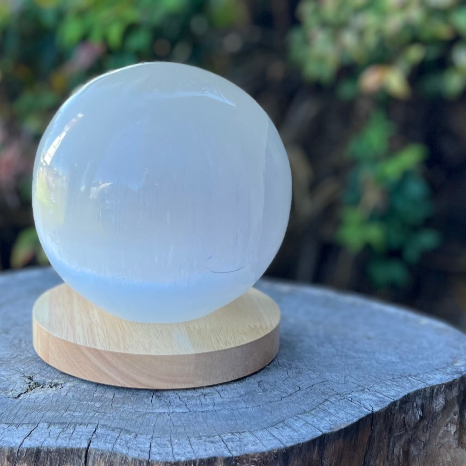 Selenite Charging & Cleansing Sphere ~ Lamp