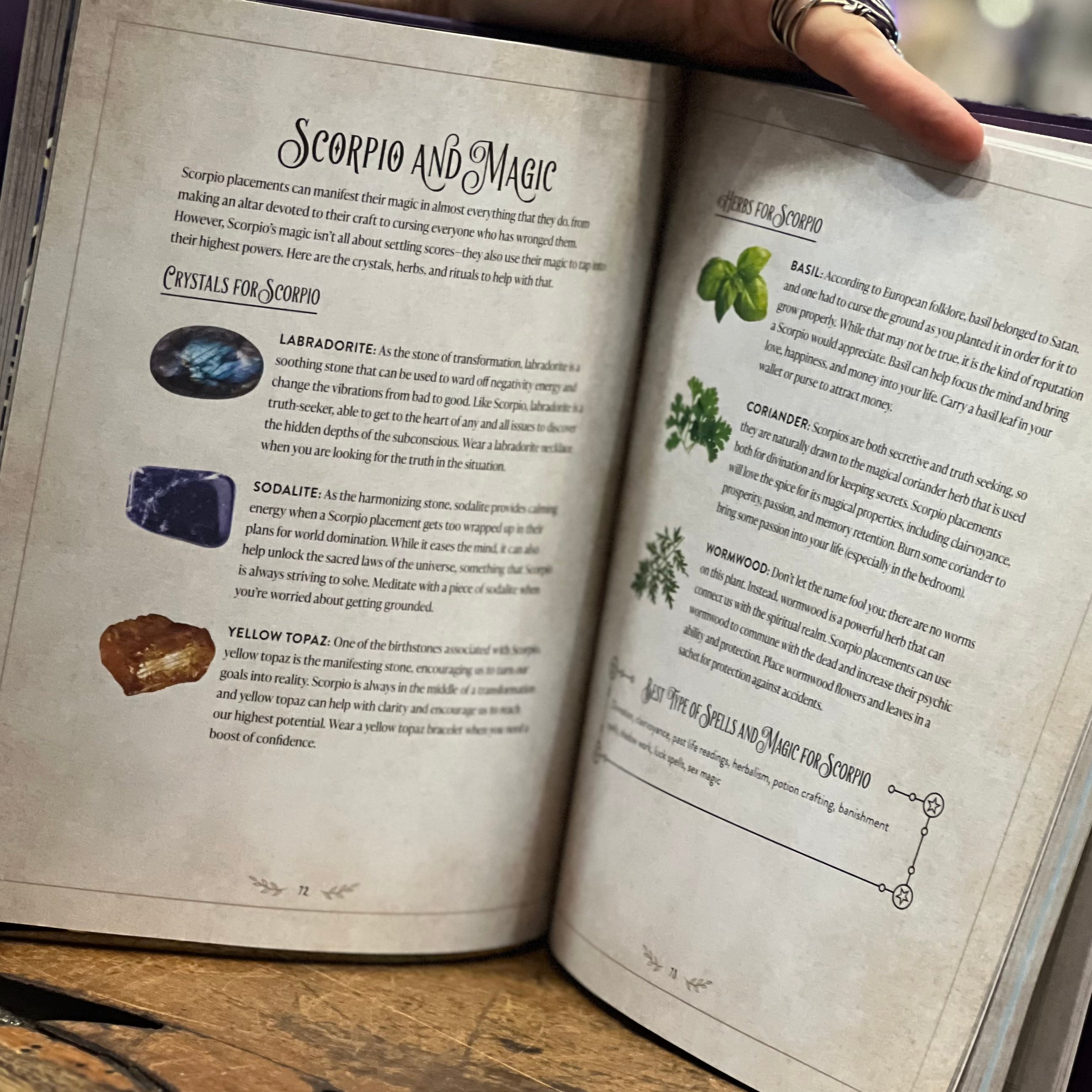 The Witches Complete Guide to Astrology
