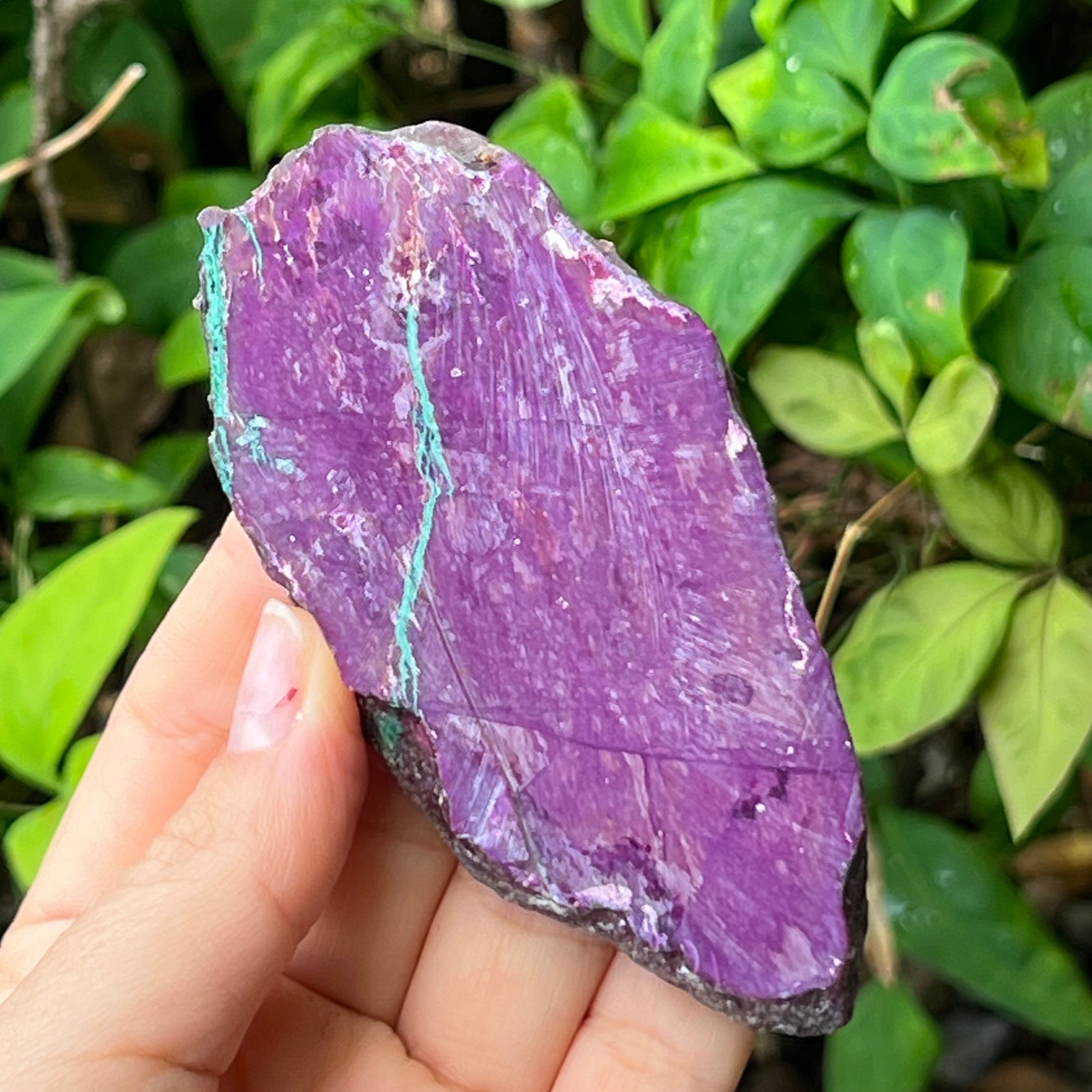 Purpurite Slice