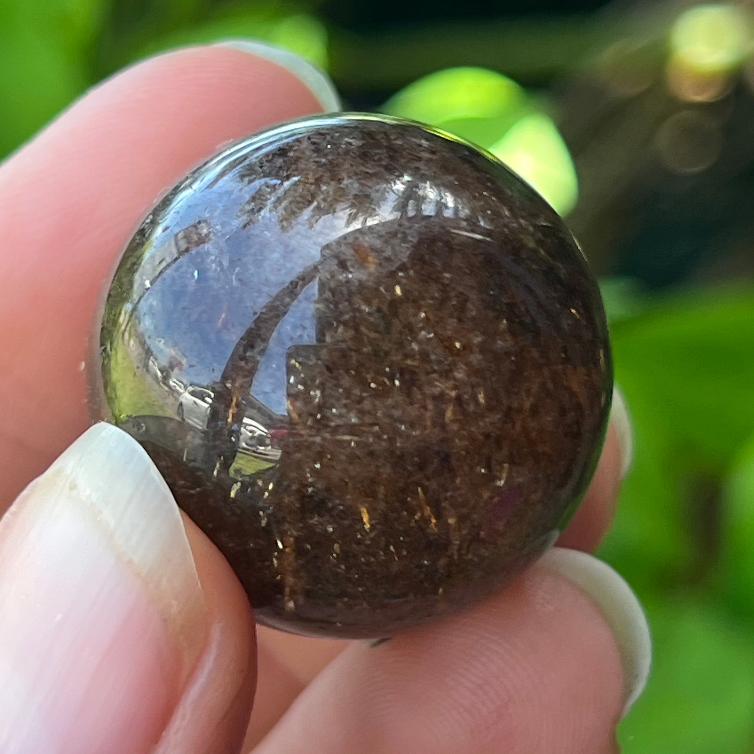 Rutilated Quartz ~  Specialty Crystal