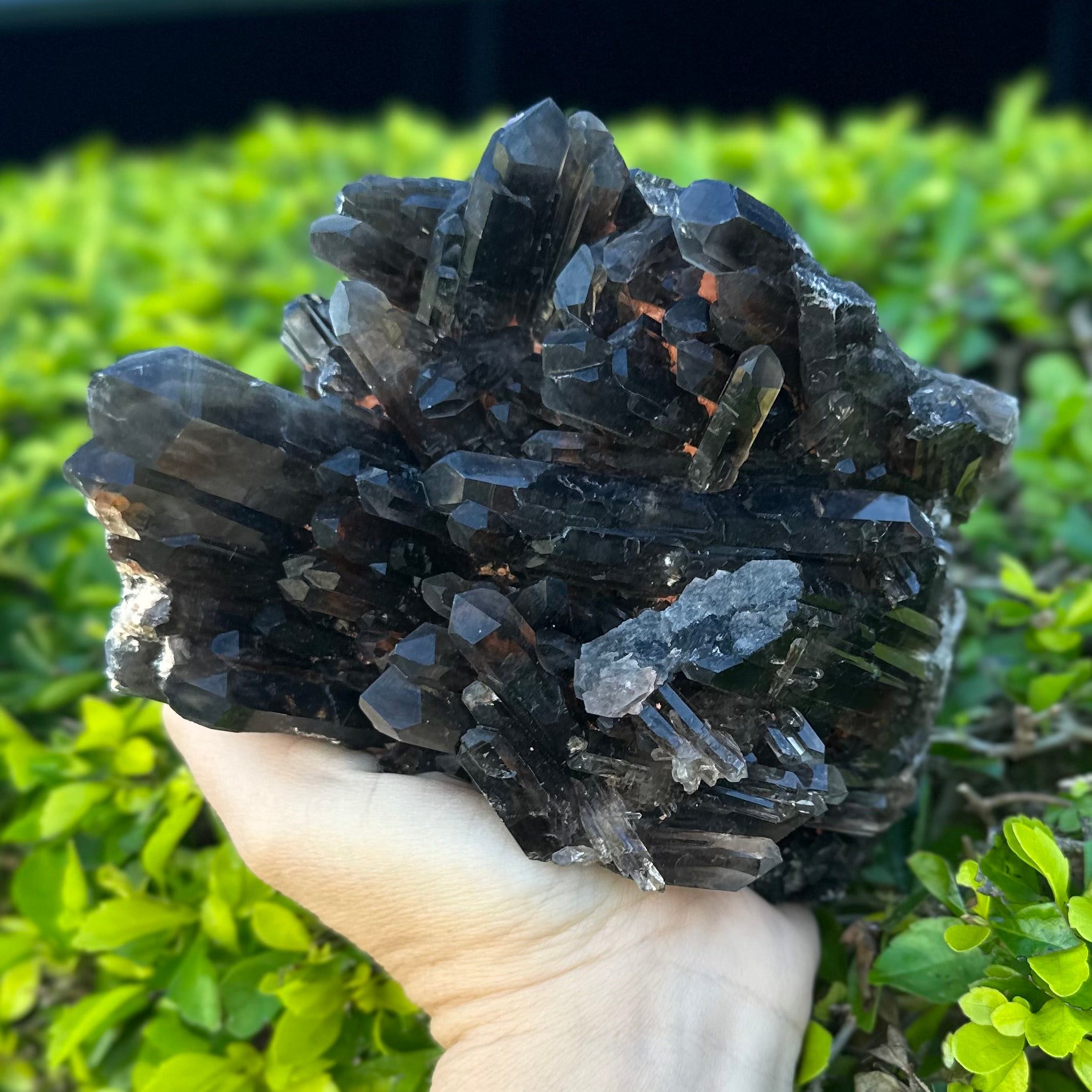 Smoky Quartz Natural Raw Cluster