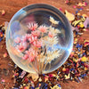 Daisy Dried Flower Sphere