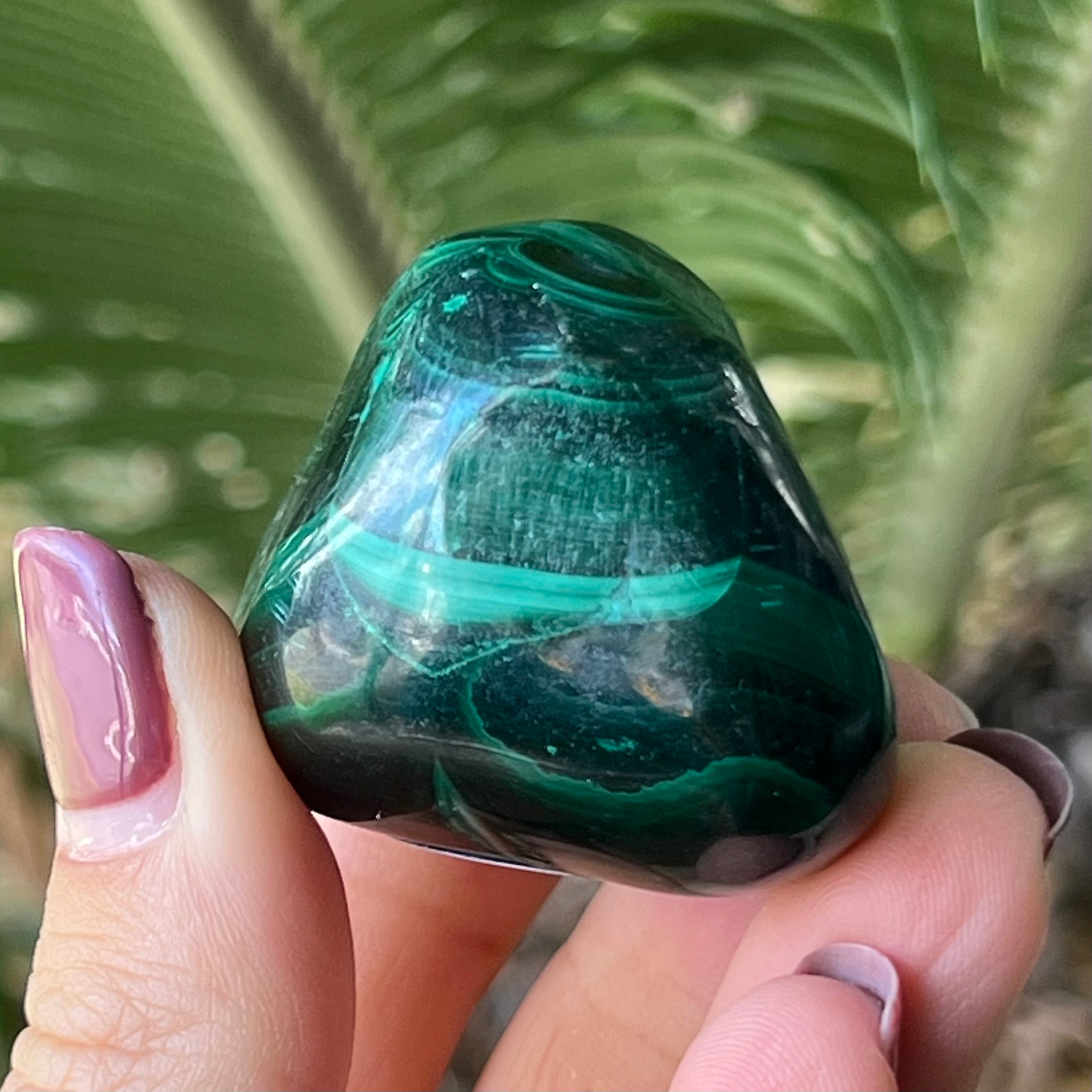 Malachite ~ Specialty Boxed Crystal