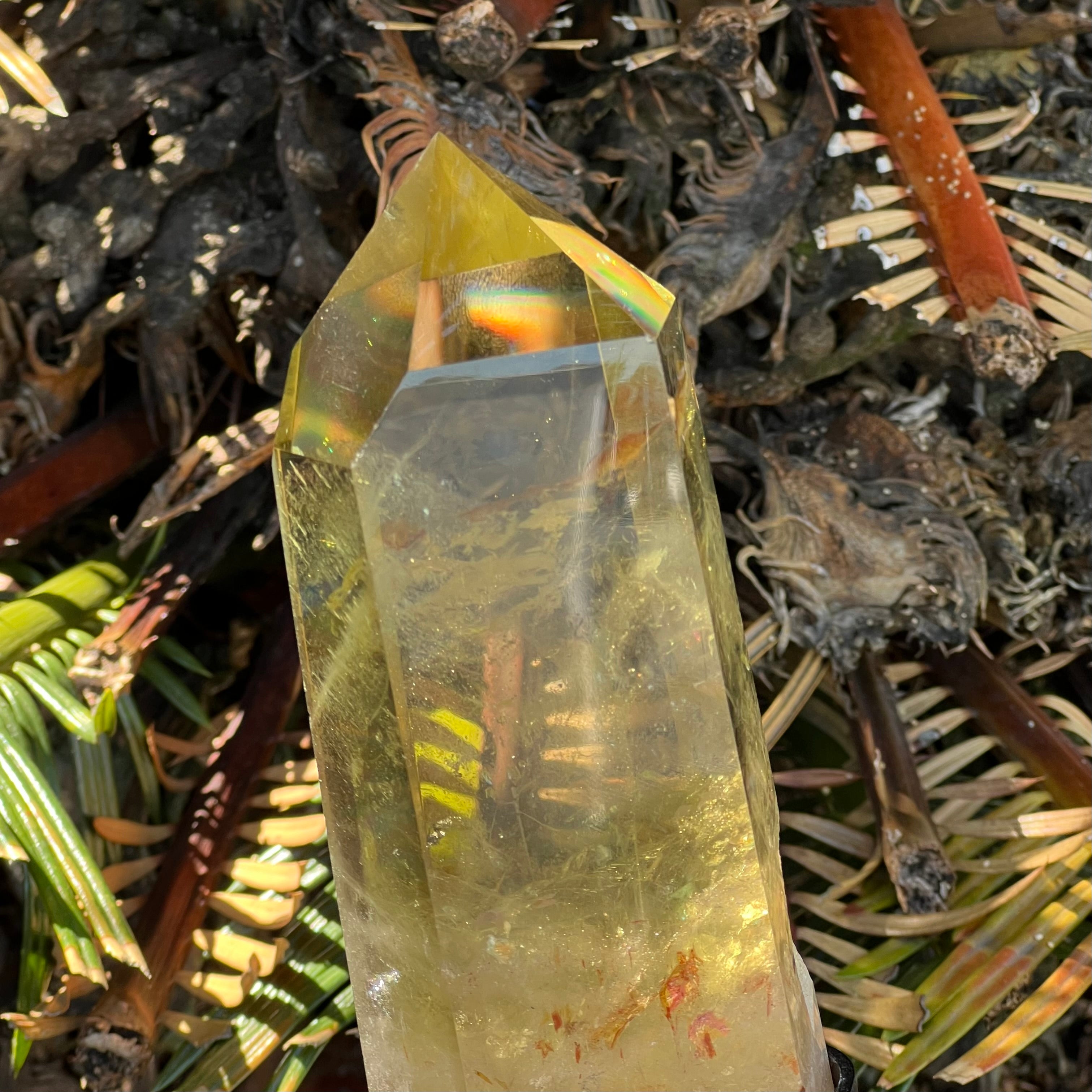 Stunning Citrine Point on Stand