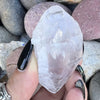 Raw Lumerian Seed Specimen