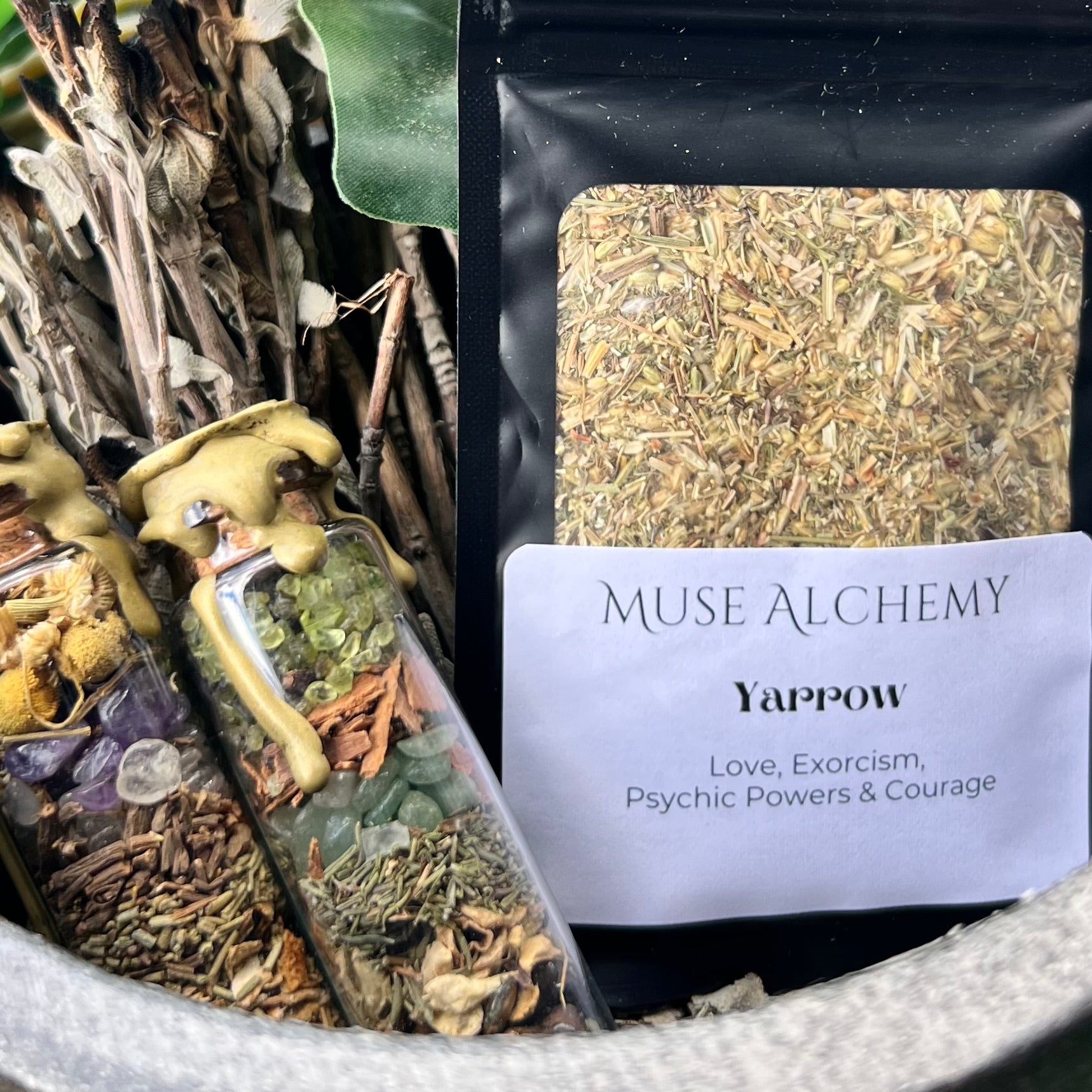 Yarrow ~ Muse Alchemy Botanicals