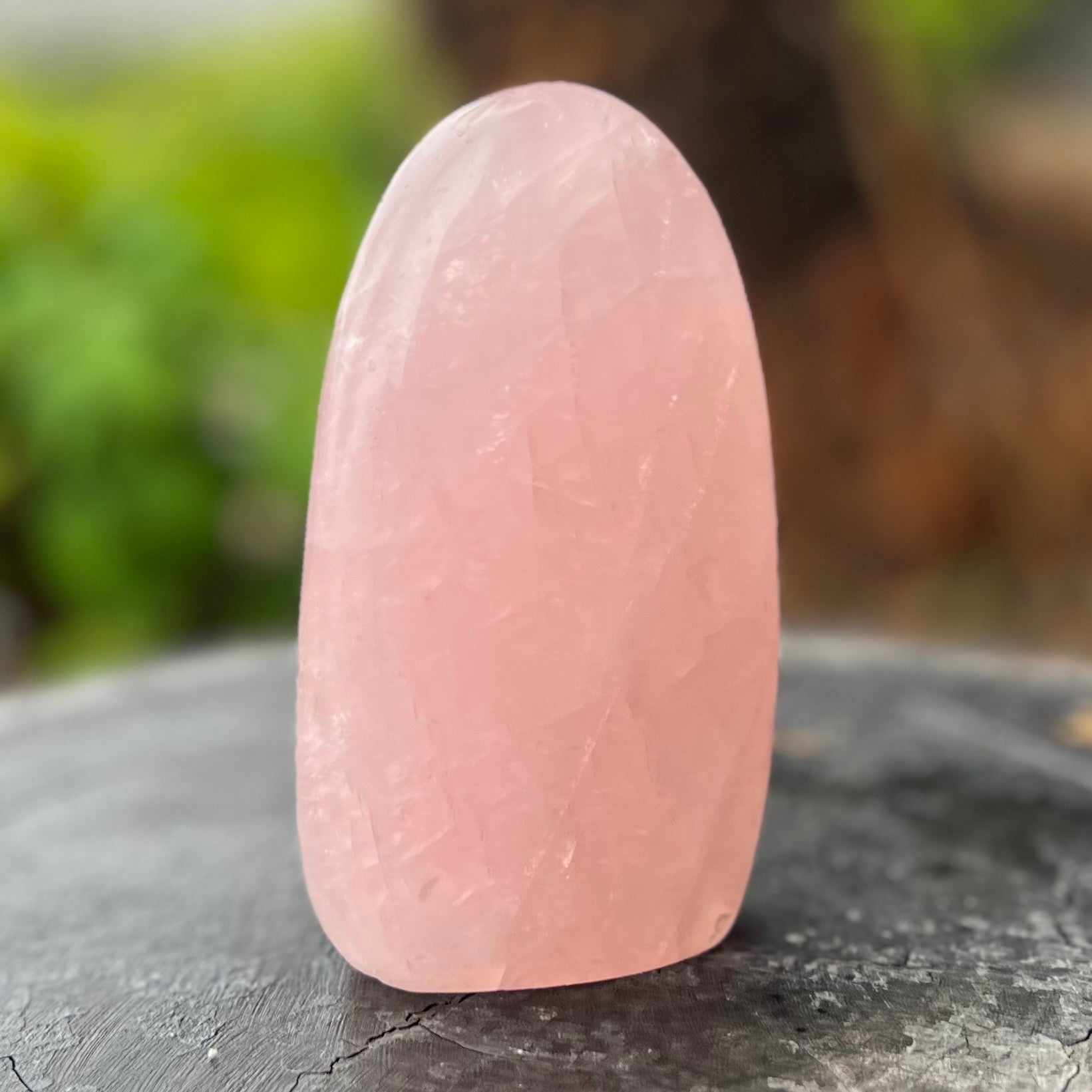 Rose Quartz Eye Freeform