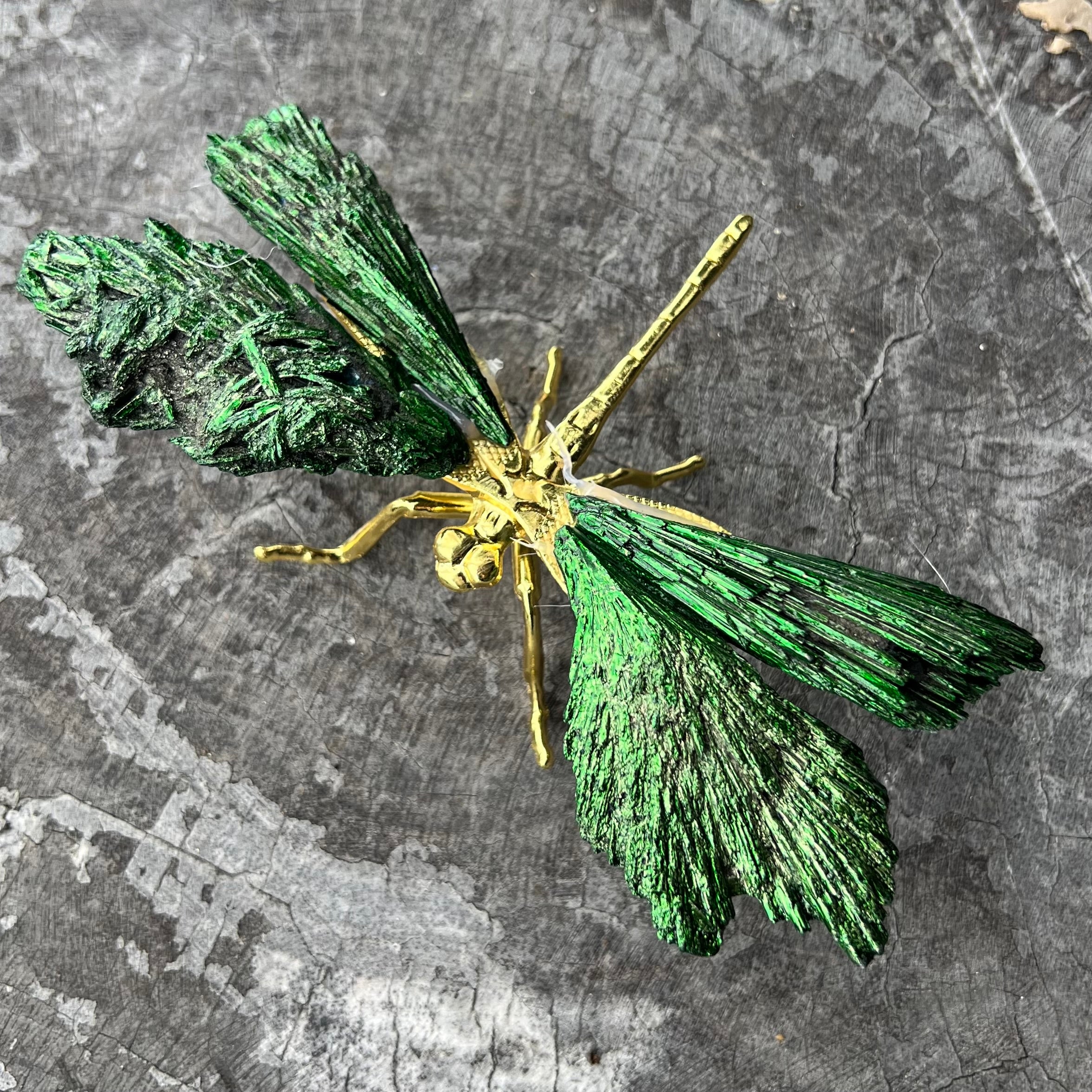 Dragonfly ~ Kyanite Electroplate ~ Emerald ~ Large