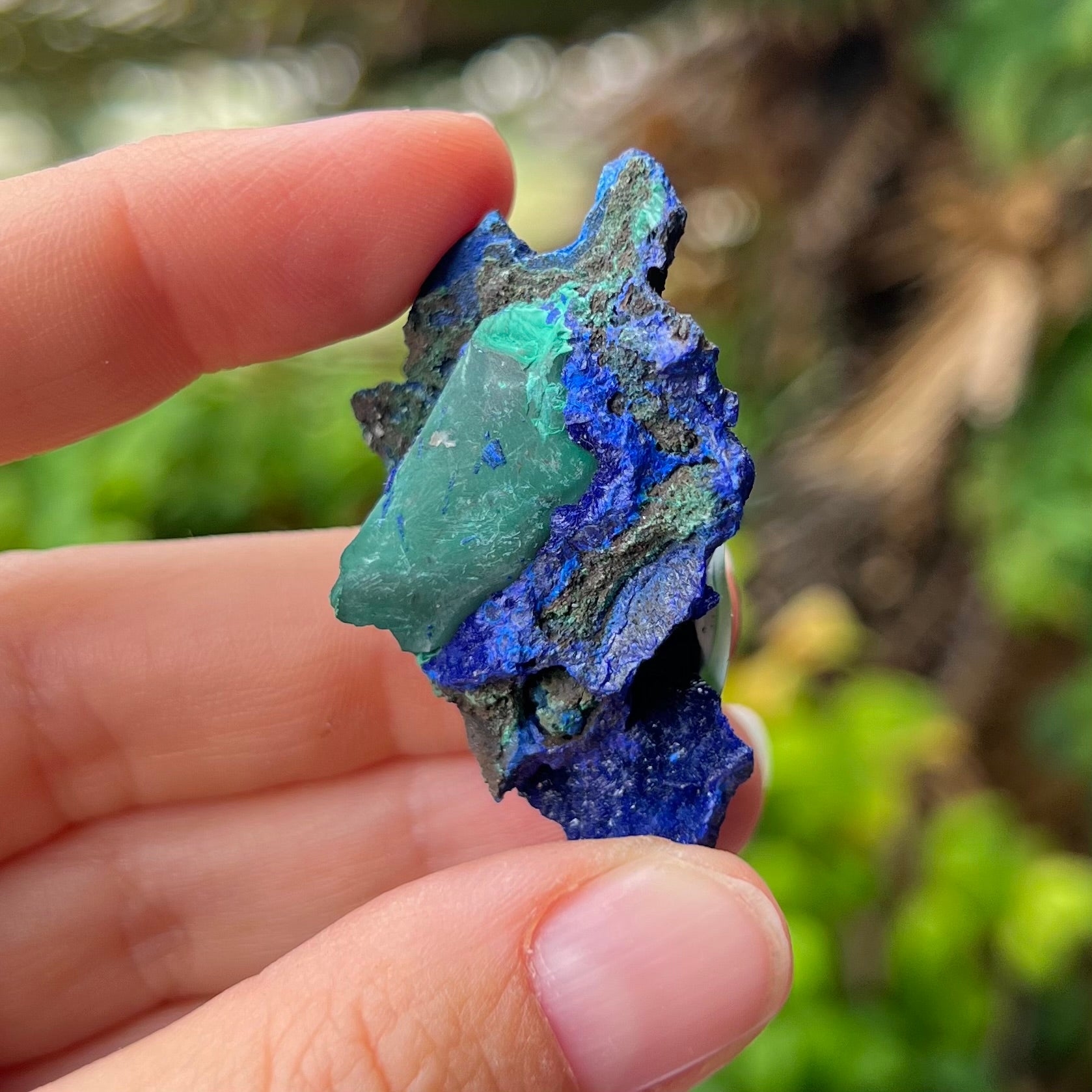 Azurite / Malachite ~ Specialty Crystal