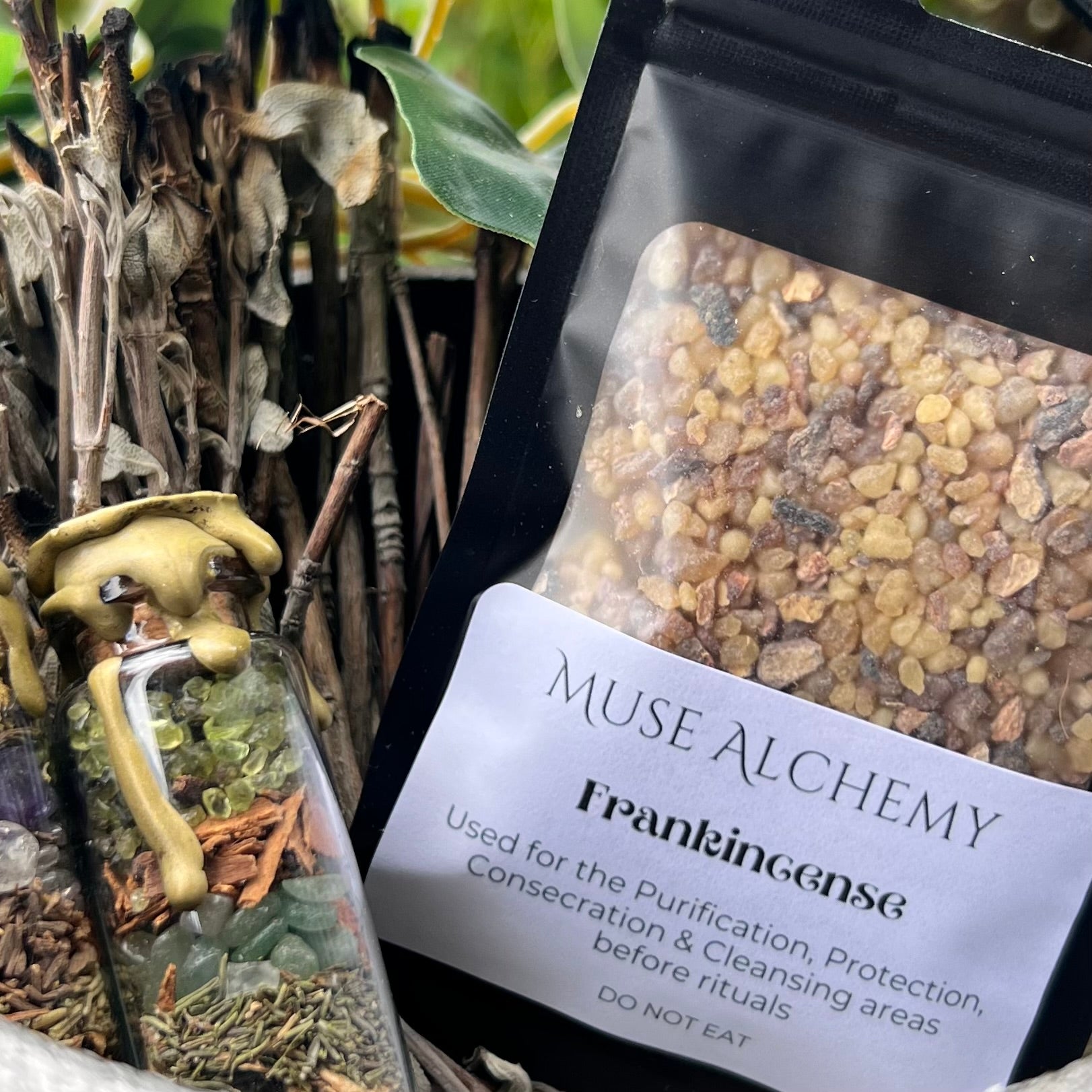 Frankincense Resin  ~ Muse Alchemy Botanicals