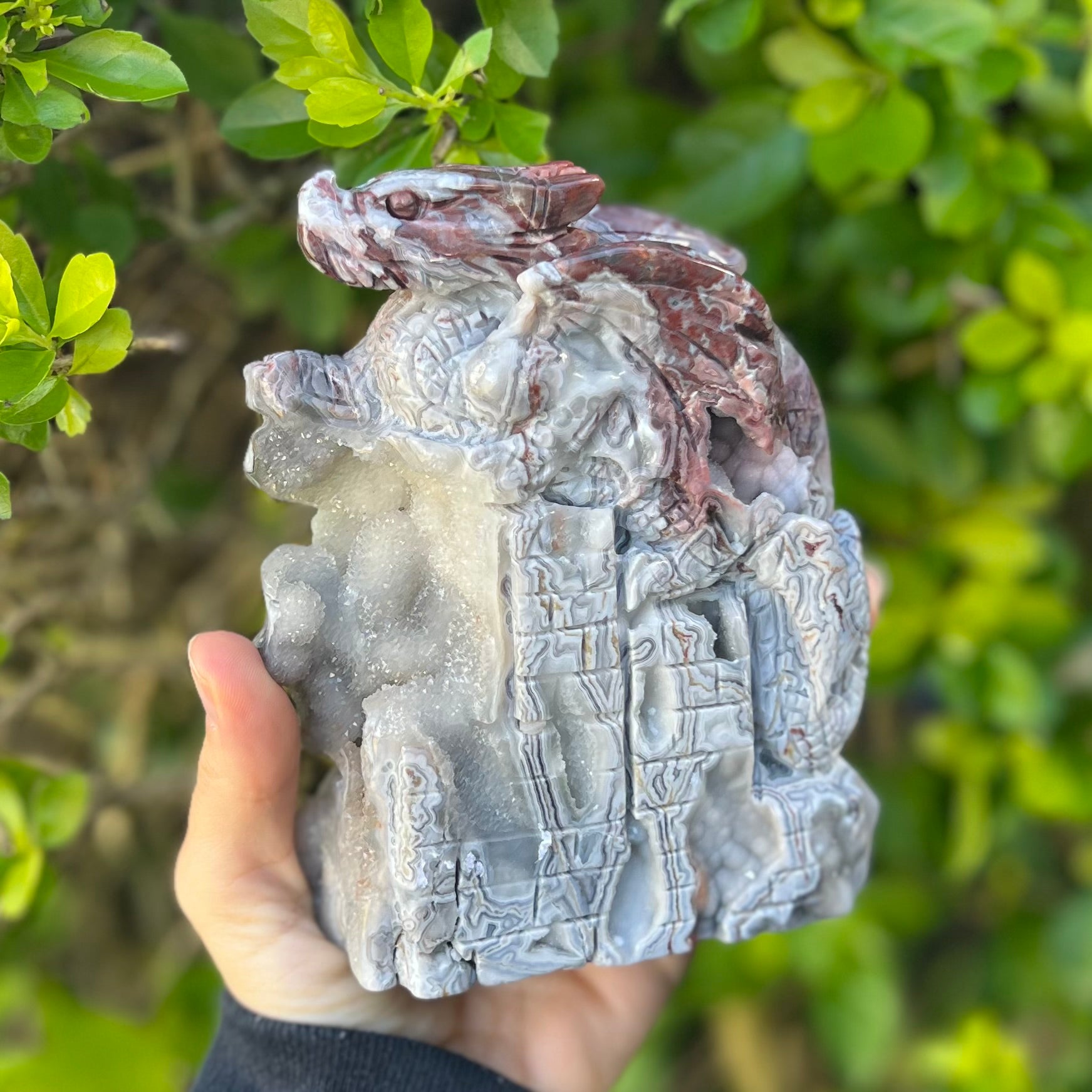 Crazy Lace Agate Dragon Carving
