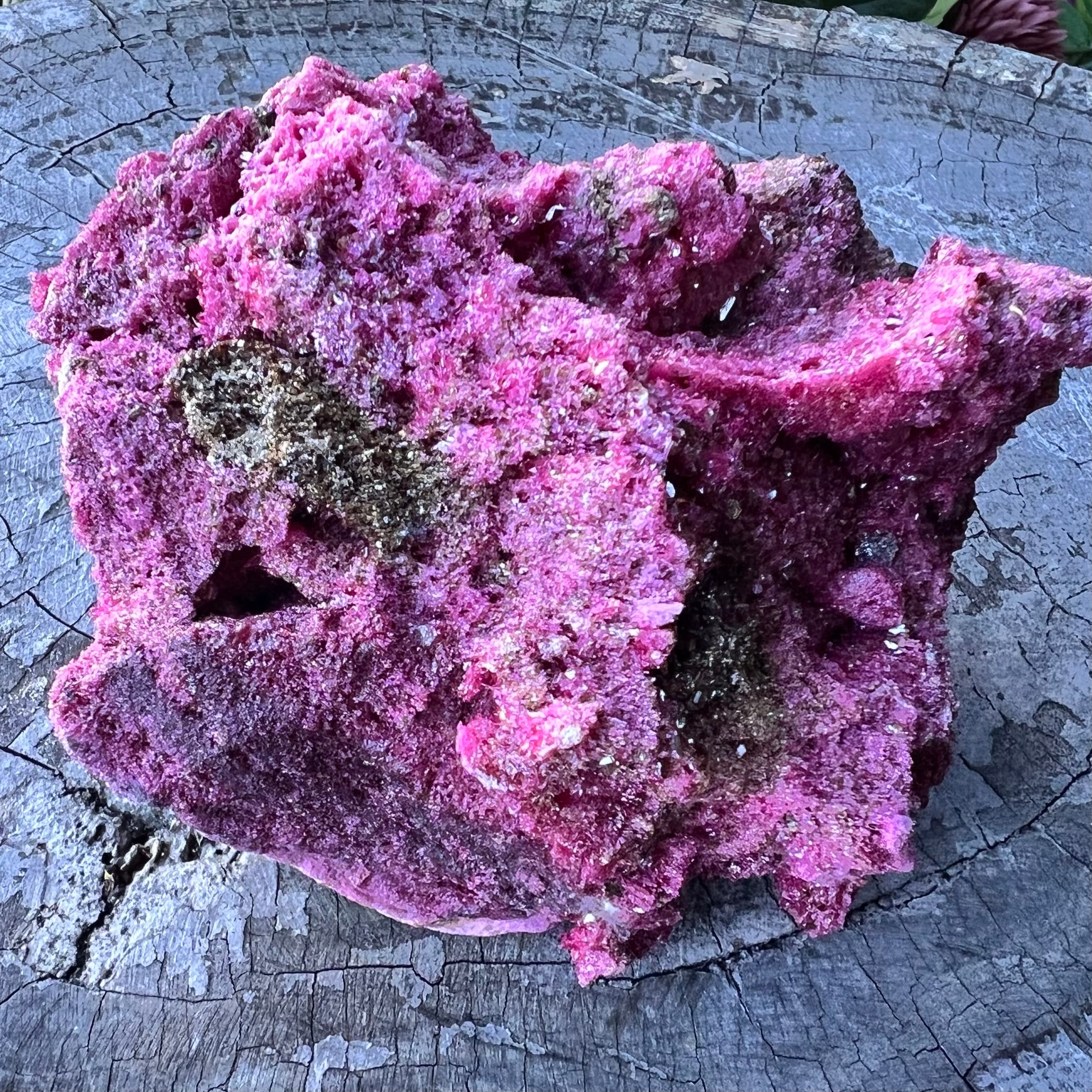 Glorious Ruby with Pyrite Specimen