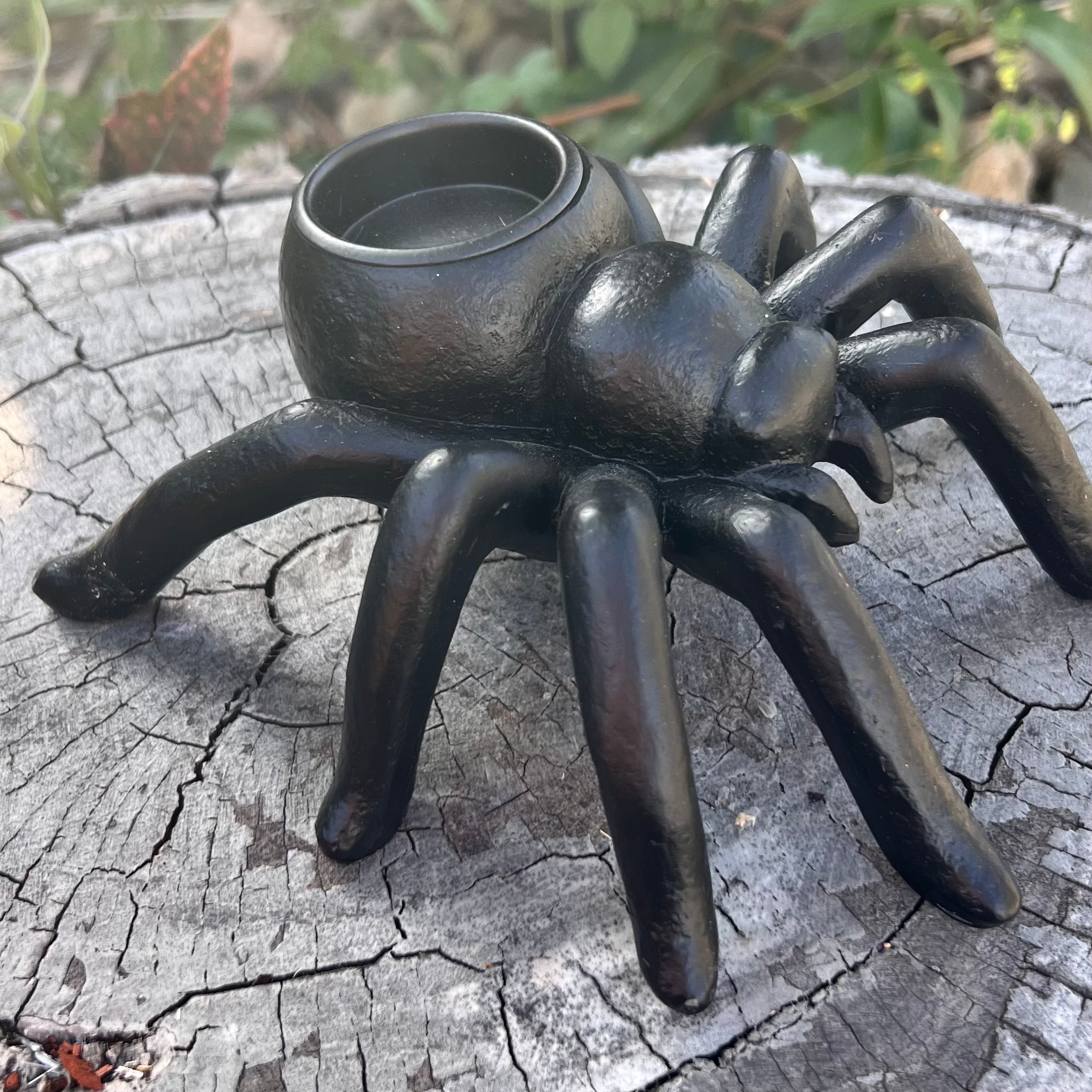 Spider Candle Holder ~ Taranchela