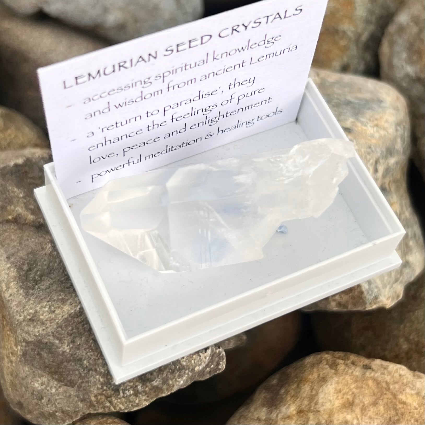 Raw Lumerian Seed Specimen~ Specialty Boxed Crystal