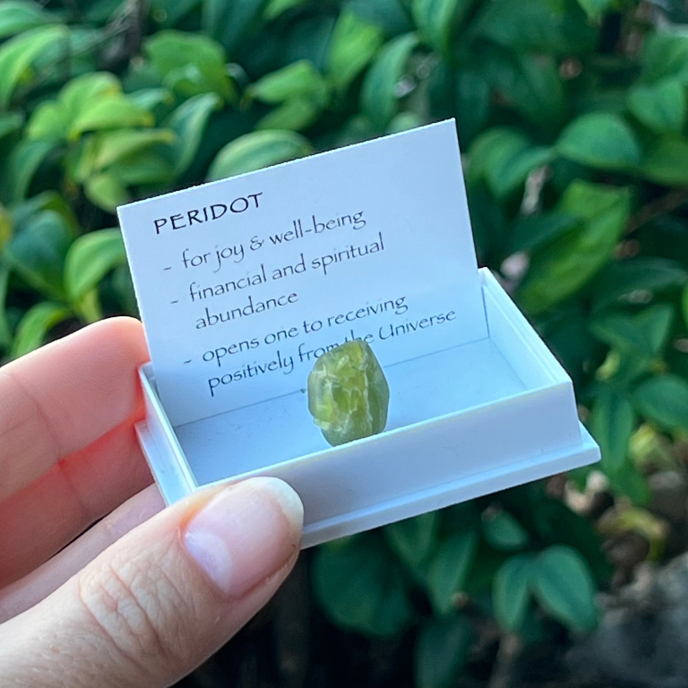 Peridot ~ Specialty Boxed Crystal
