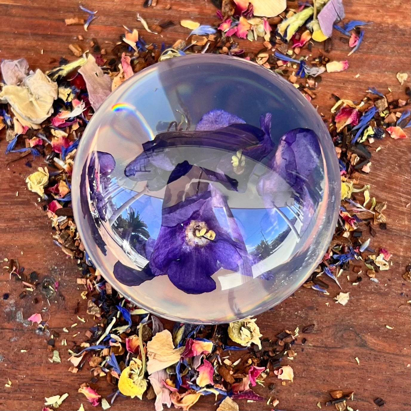 Violet Everlasting Flower Sphere