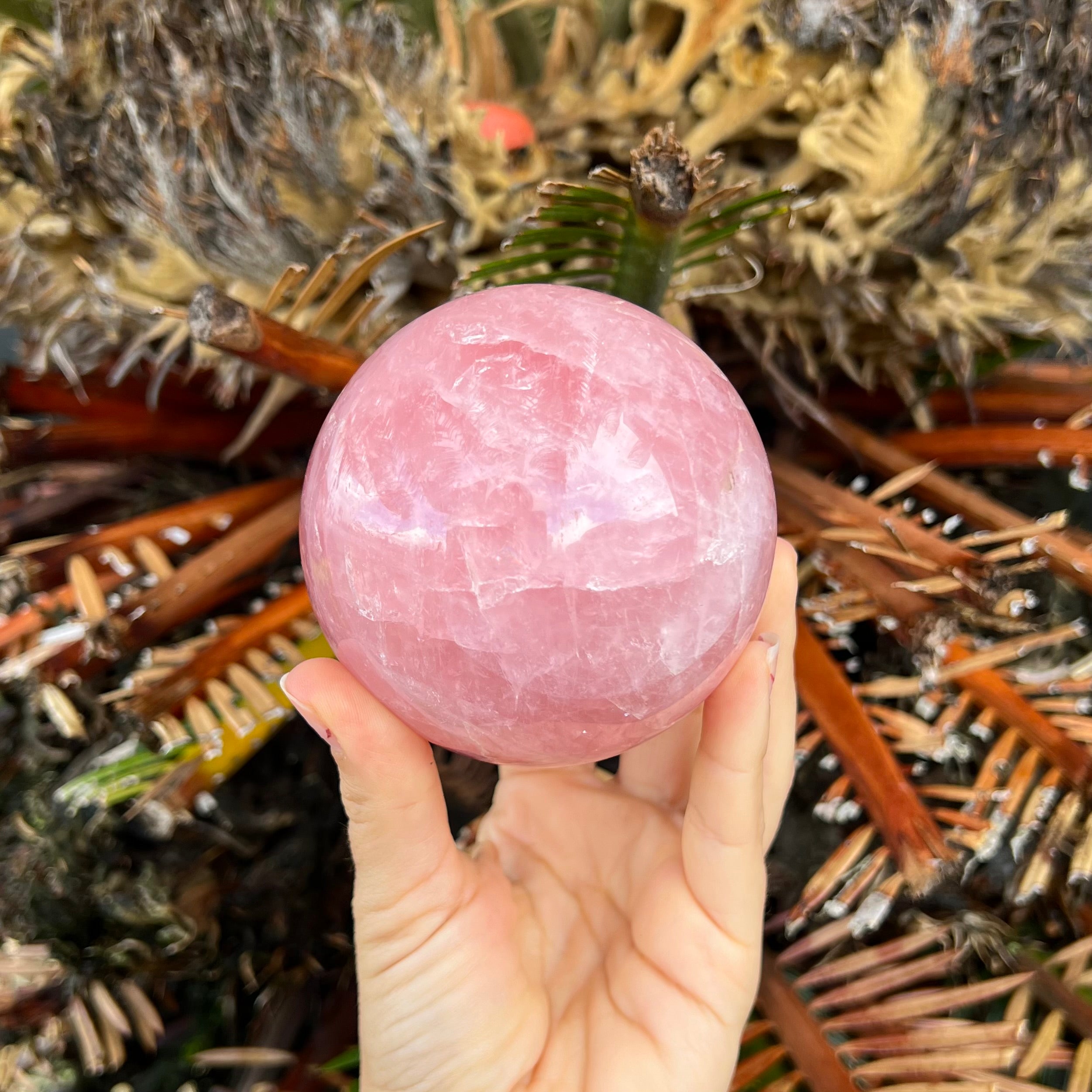 Rose Quartz Sphere