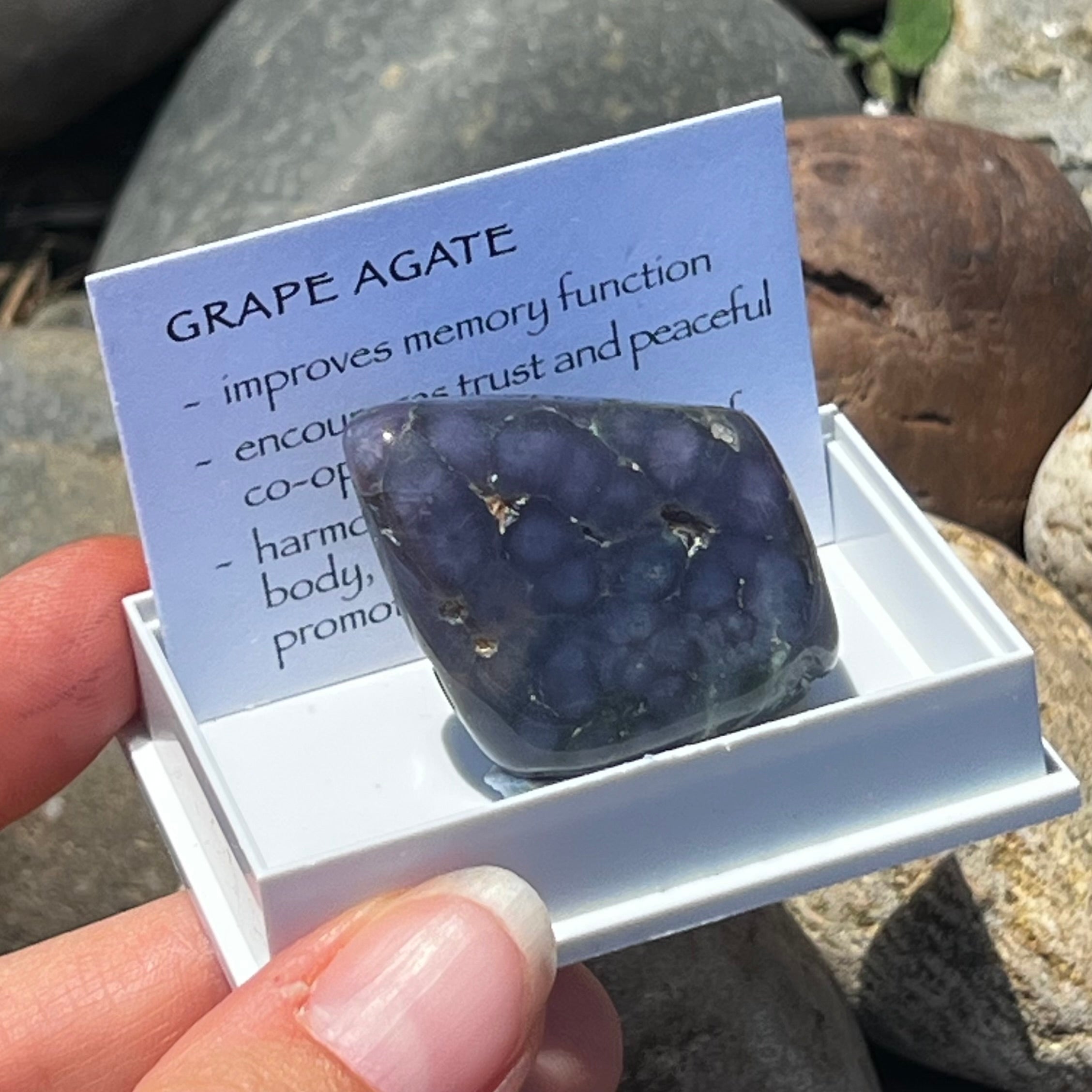 Grape Agate ~ Specialty Boxed Crystal