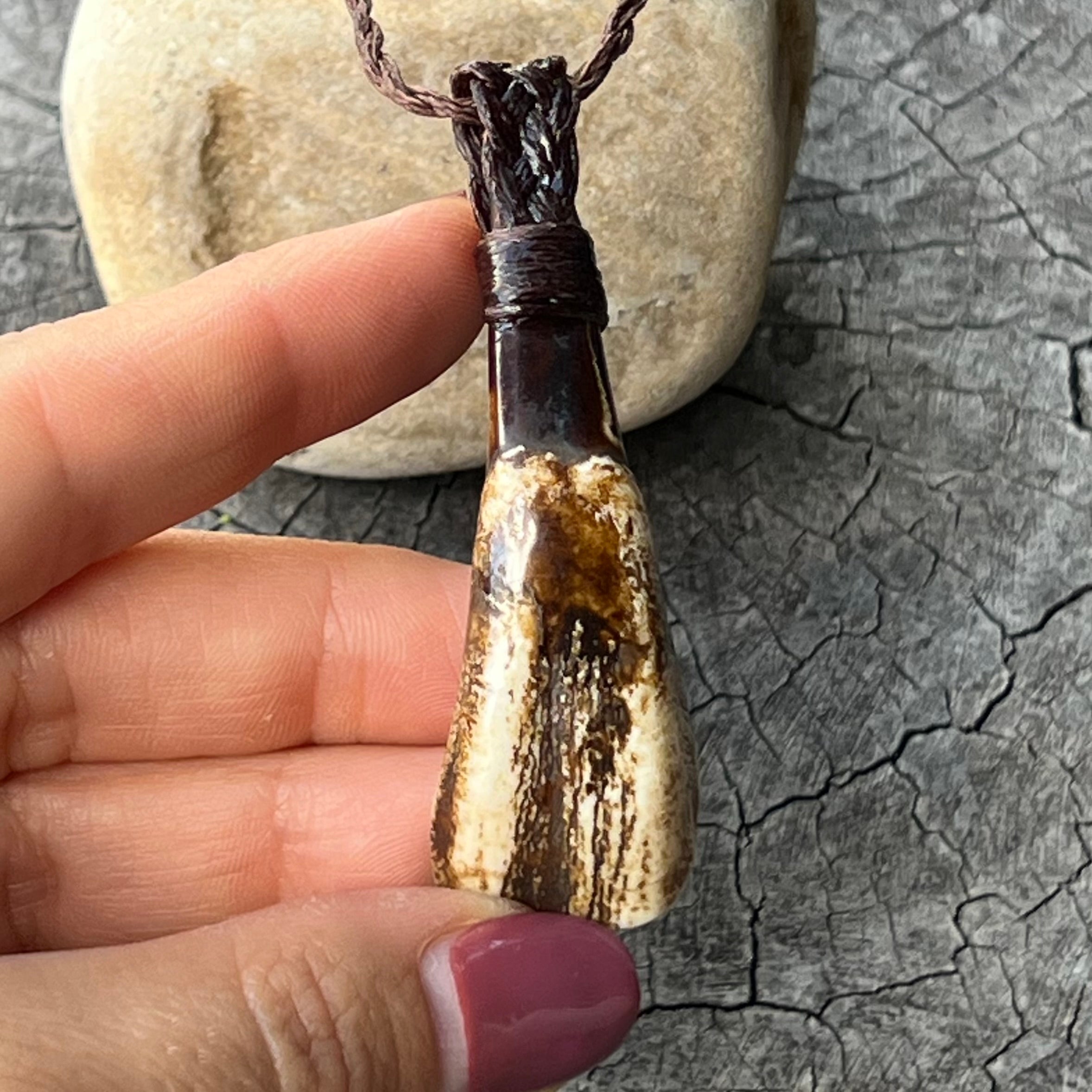 Muse Medicine ~ Buffalo Tooth Totem ~ Talisman