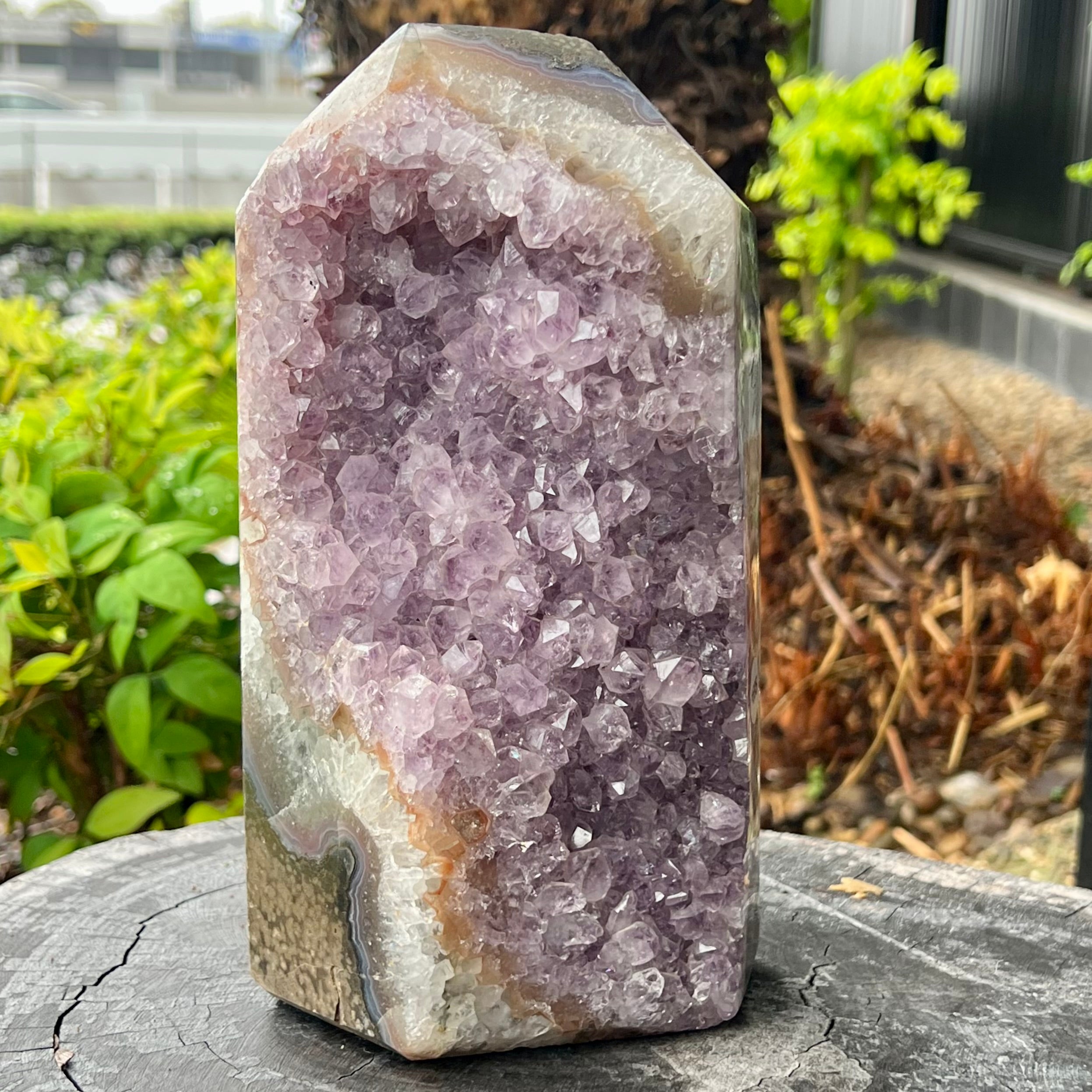 Amethyst Geode