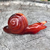 Carnelian ~ Snail of Courage