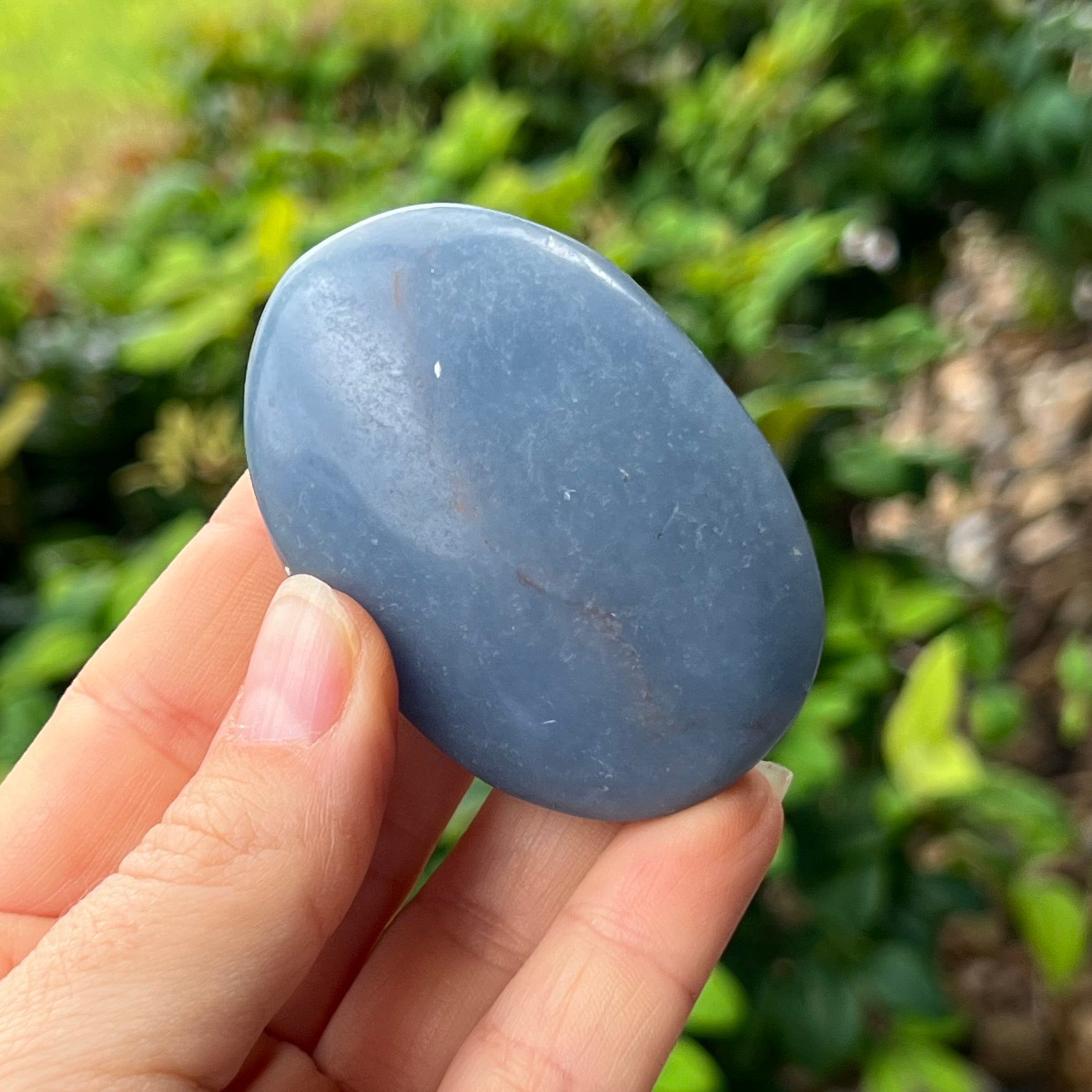 Angelite Palmstone ~ Specialty Boxed Crystal