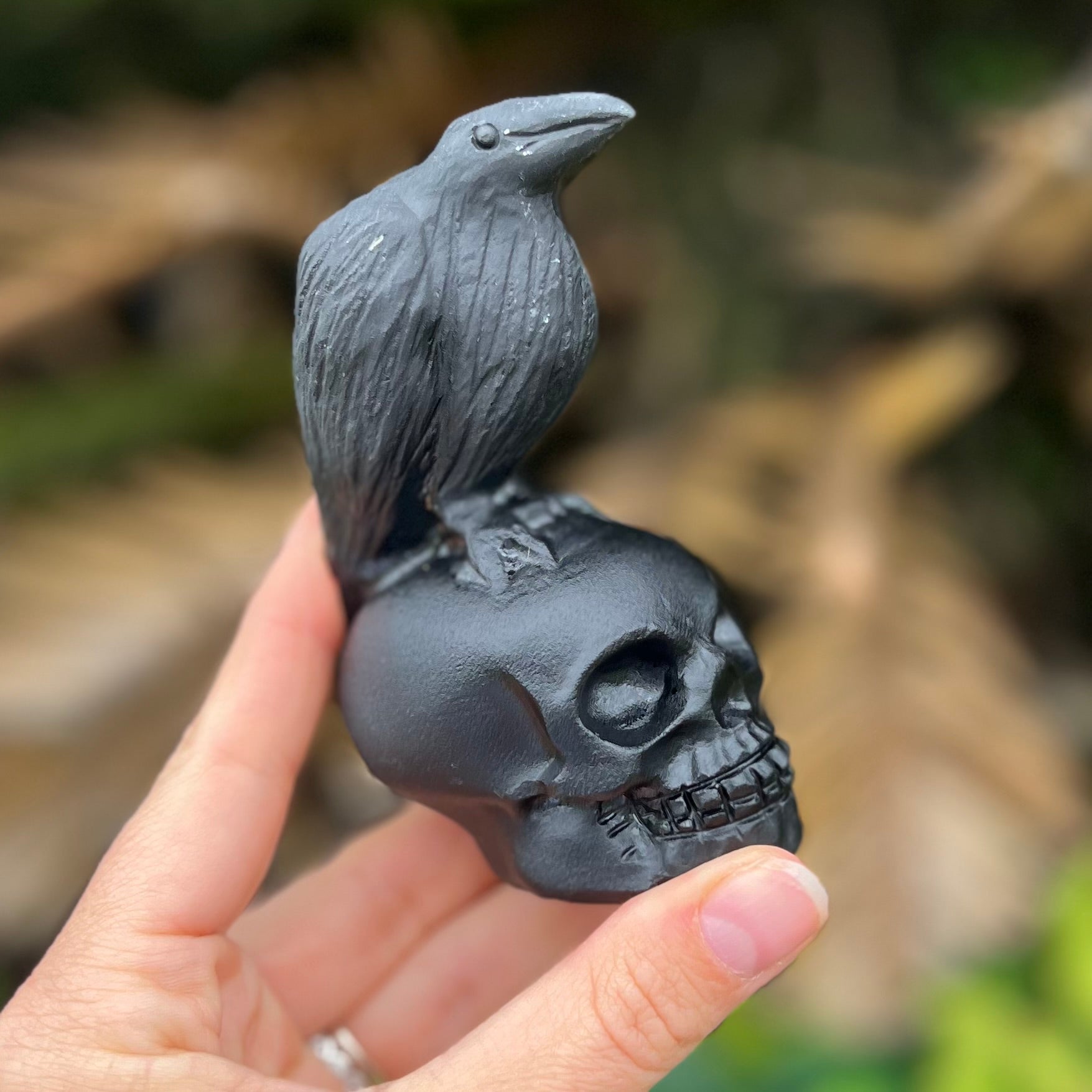 Black Obsidian Raven on Skull Carving