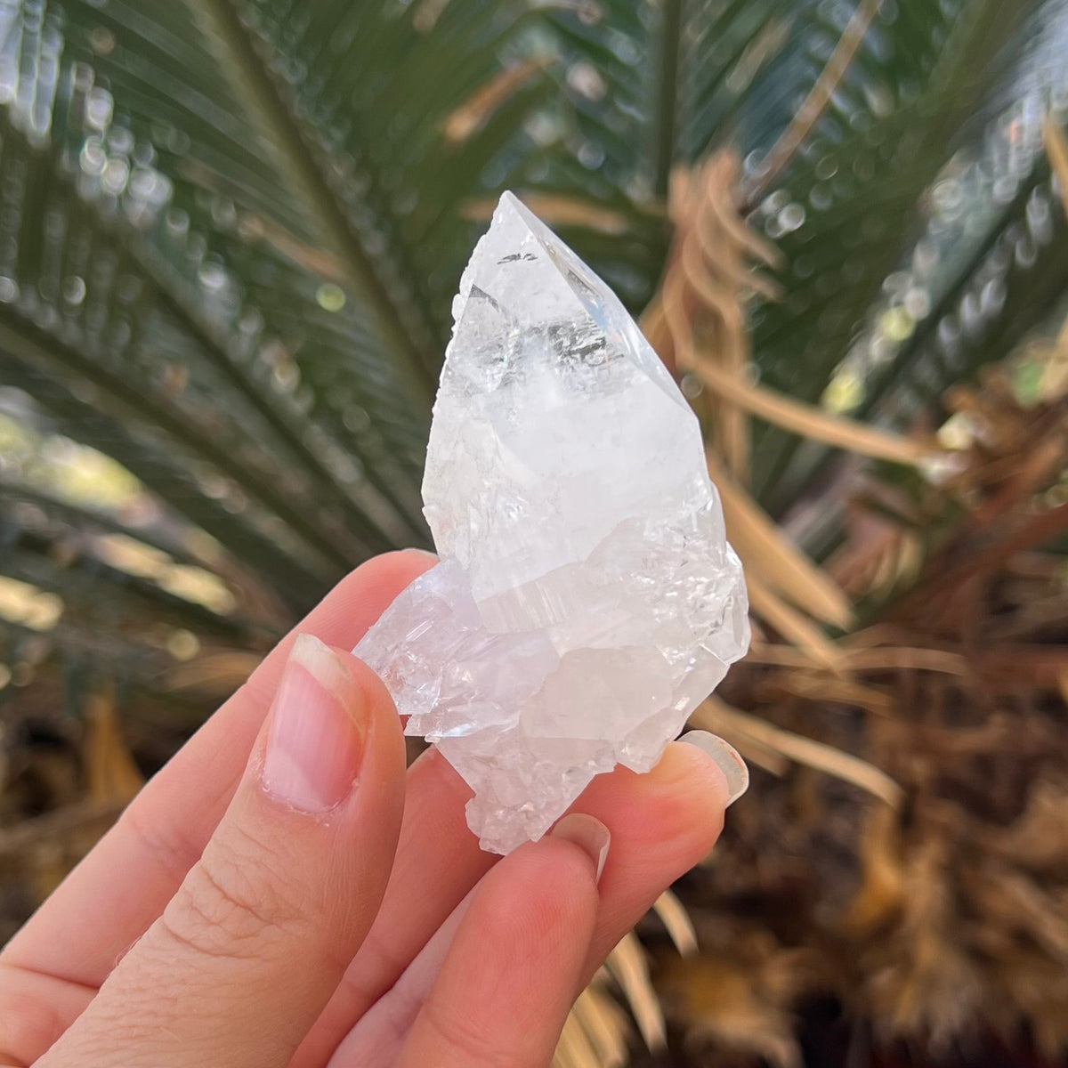 Appophylite Cluster ~ Specialty Boxed Crystal