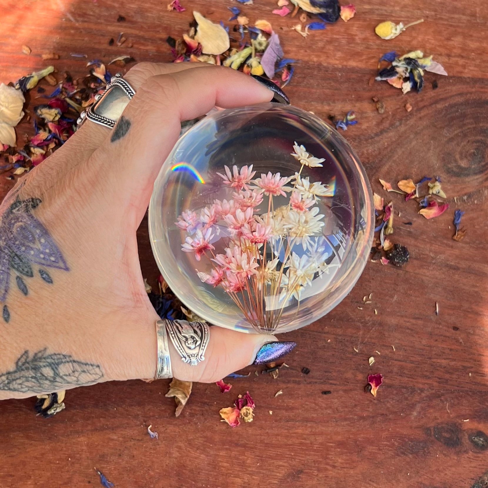 Daisy Dried Flower Sphere