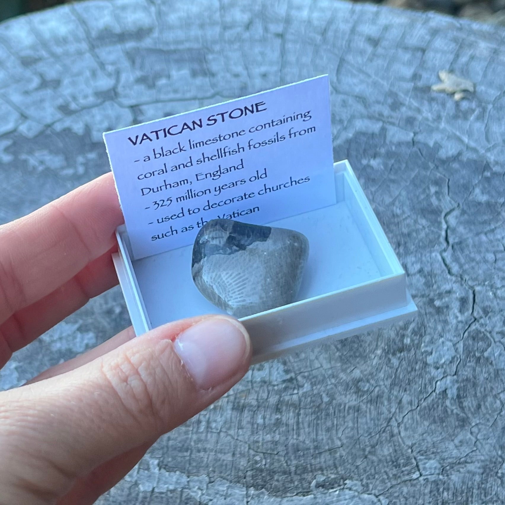 Vatican Stone ~ Specialty Boxed Crystal