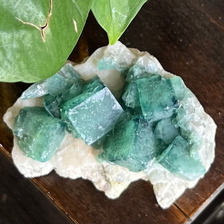 Raw Green Fluorite on Matrix