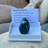 Shattuckite Tumble  ~ Specialty Boxed Crystal