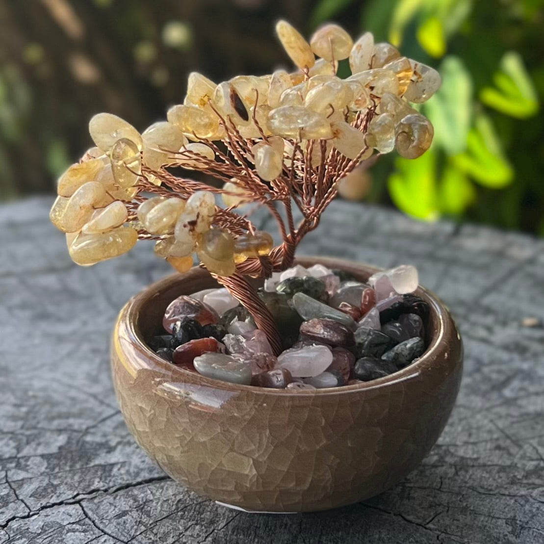 Crystal Bonsai Tree ~ Citrine