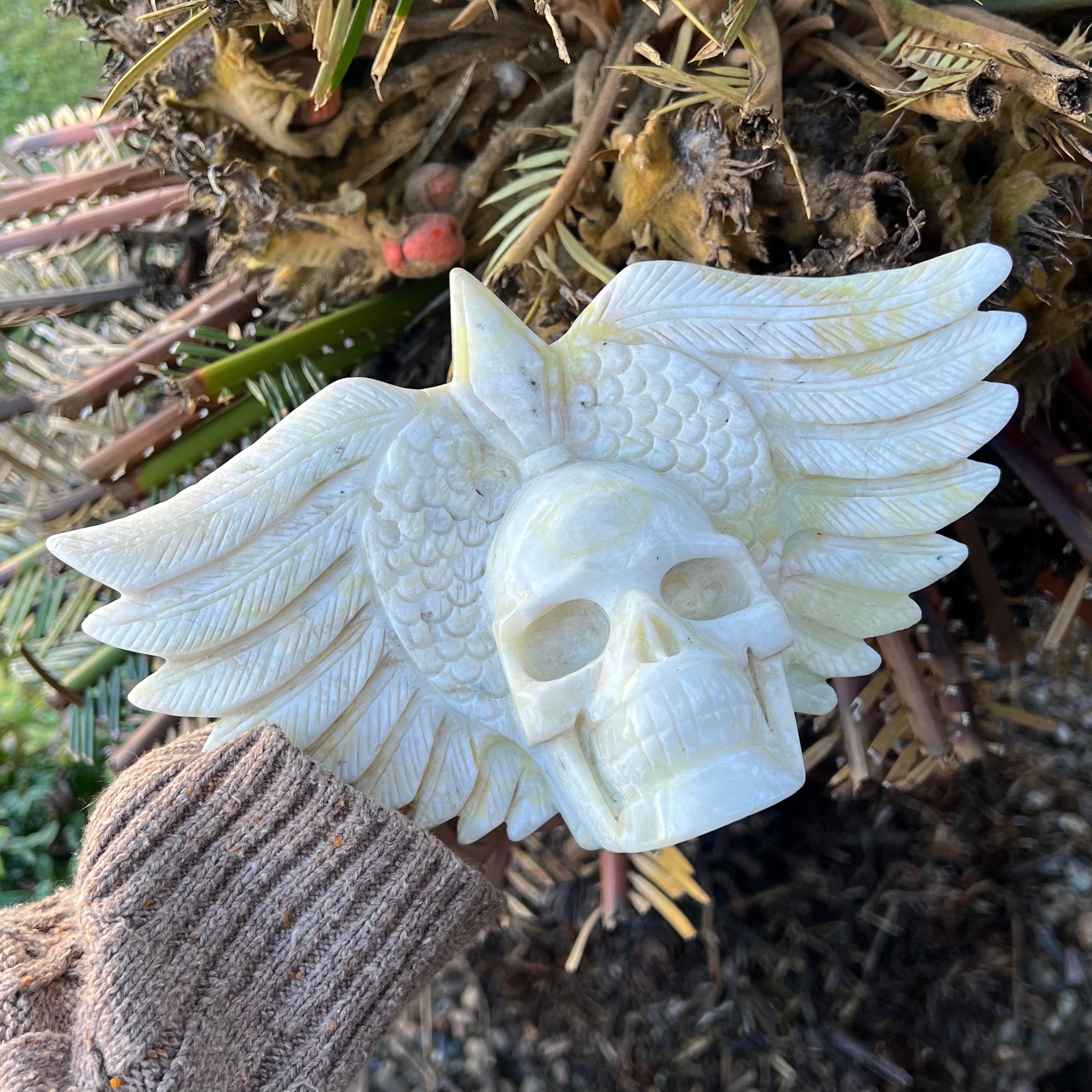 Caribbean Calcite Winged Skull Carving
