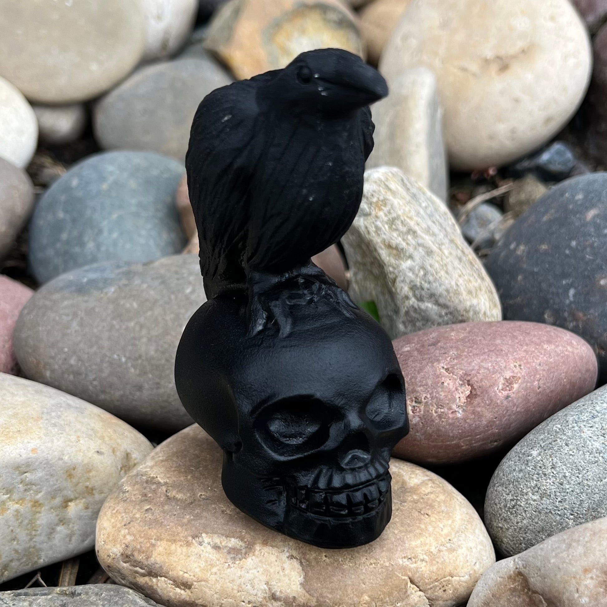 Black Obsidian Raven on Skull Carving