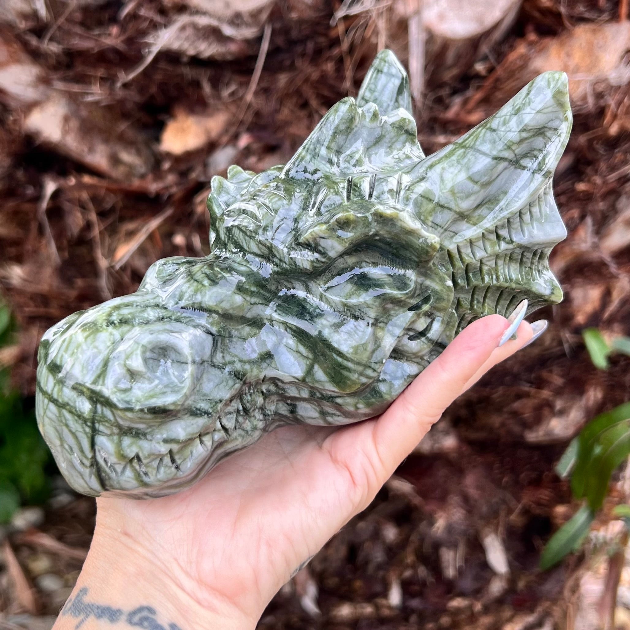 Afghanistan Jade ~ Dragon Head