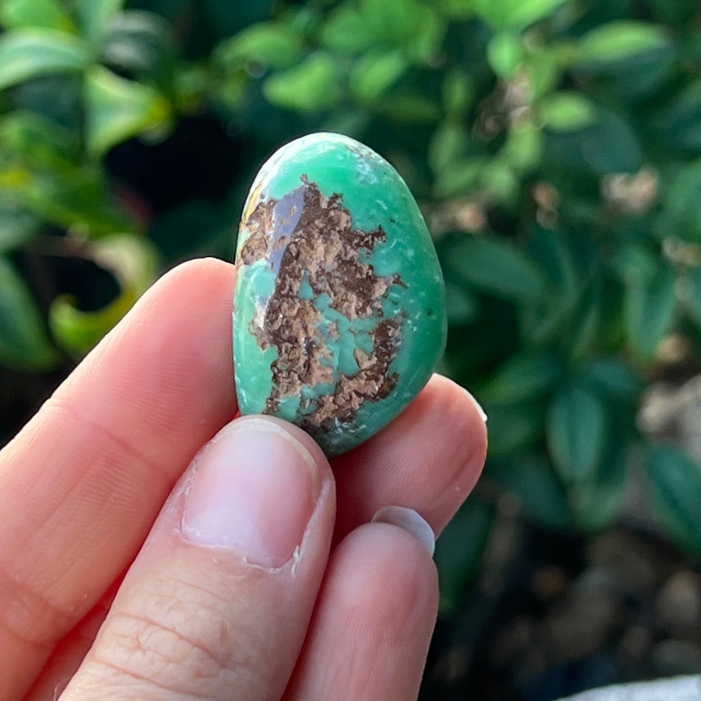 Chrysoprase ~ Specialty Tumble