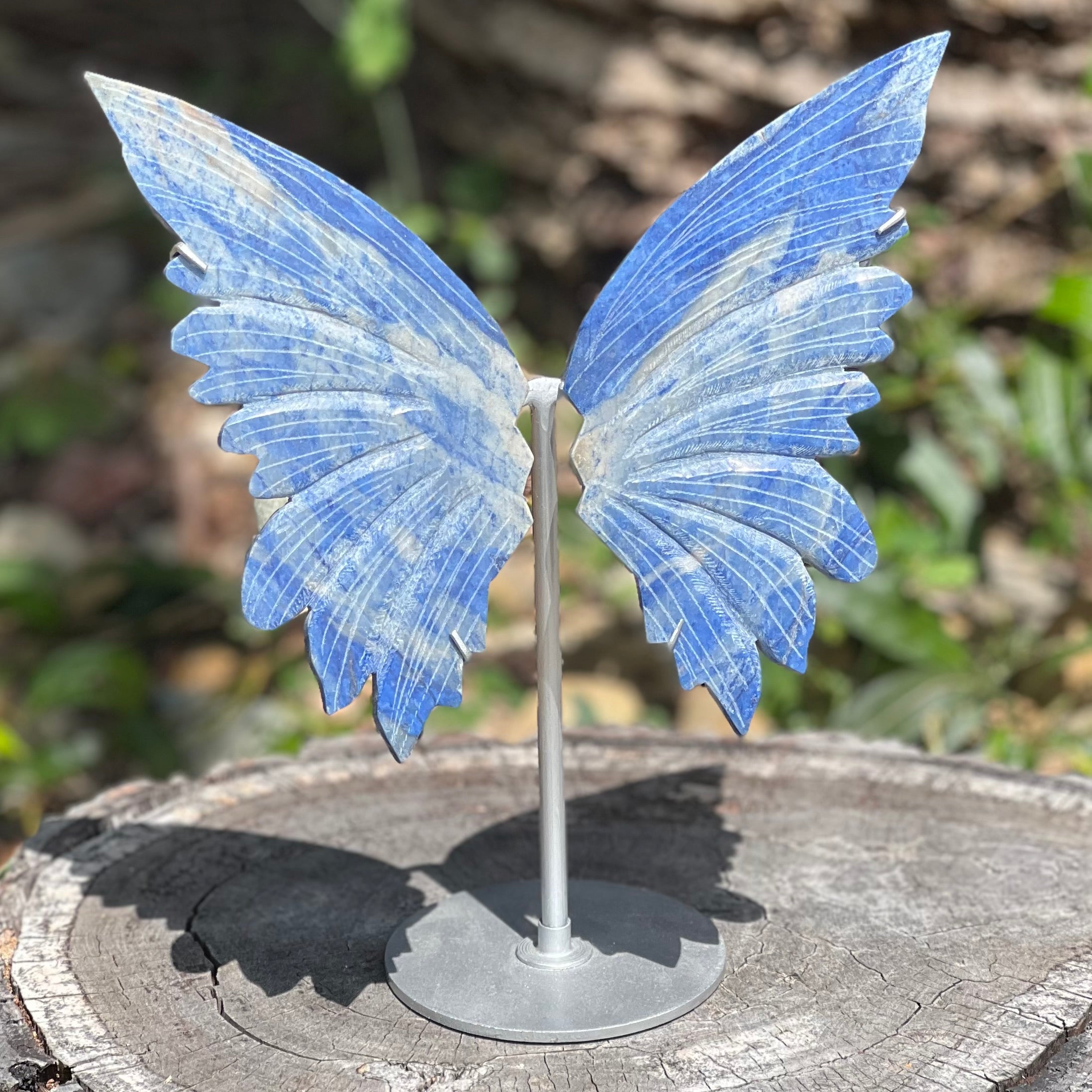 Sodalite Butterfly on Stand