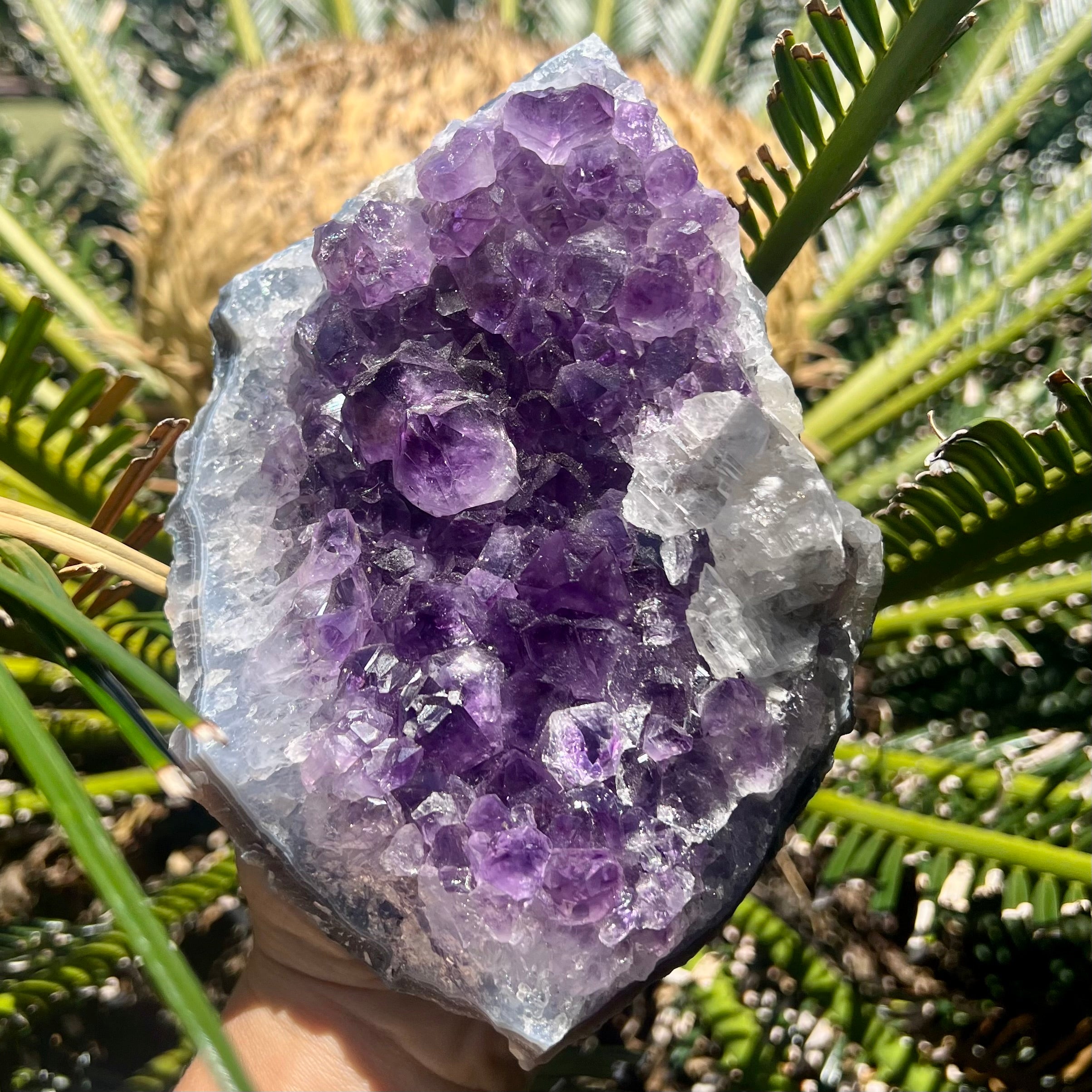 Amethyst Cluster