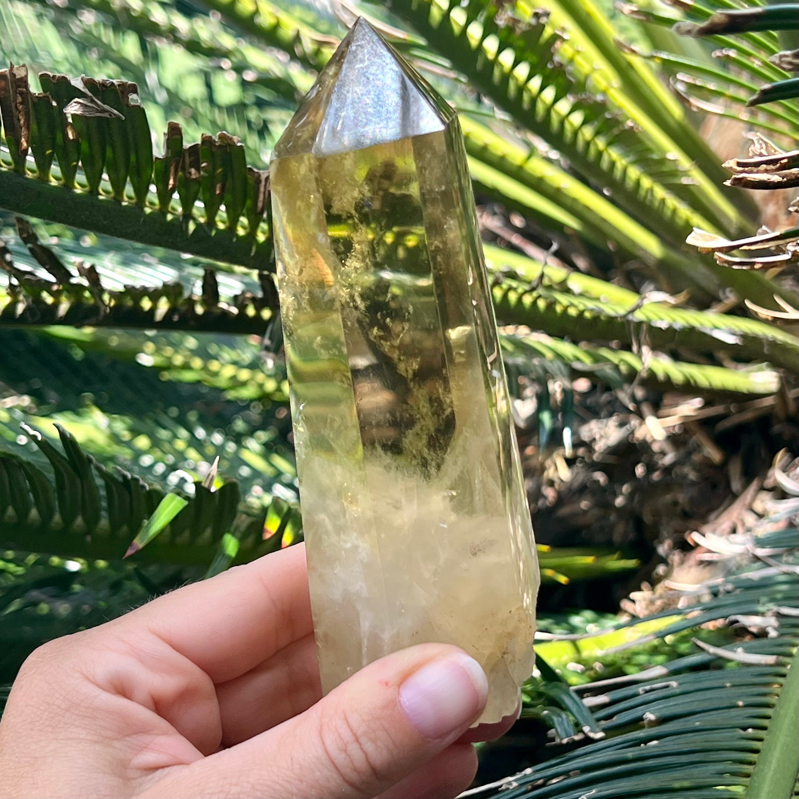 Stunning Citrine Point