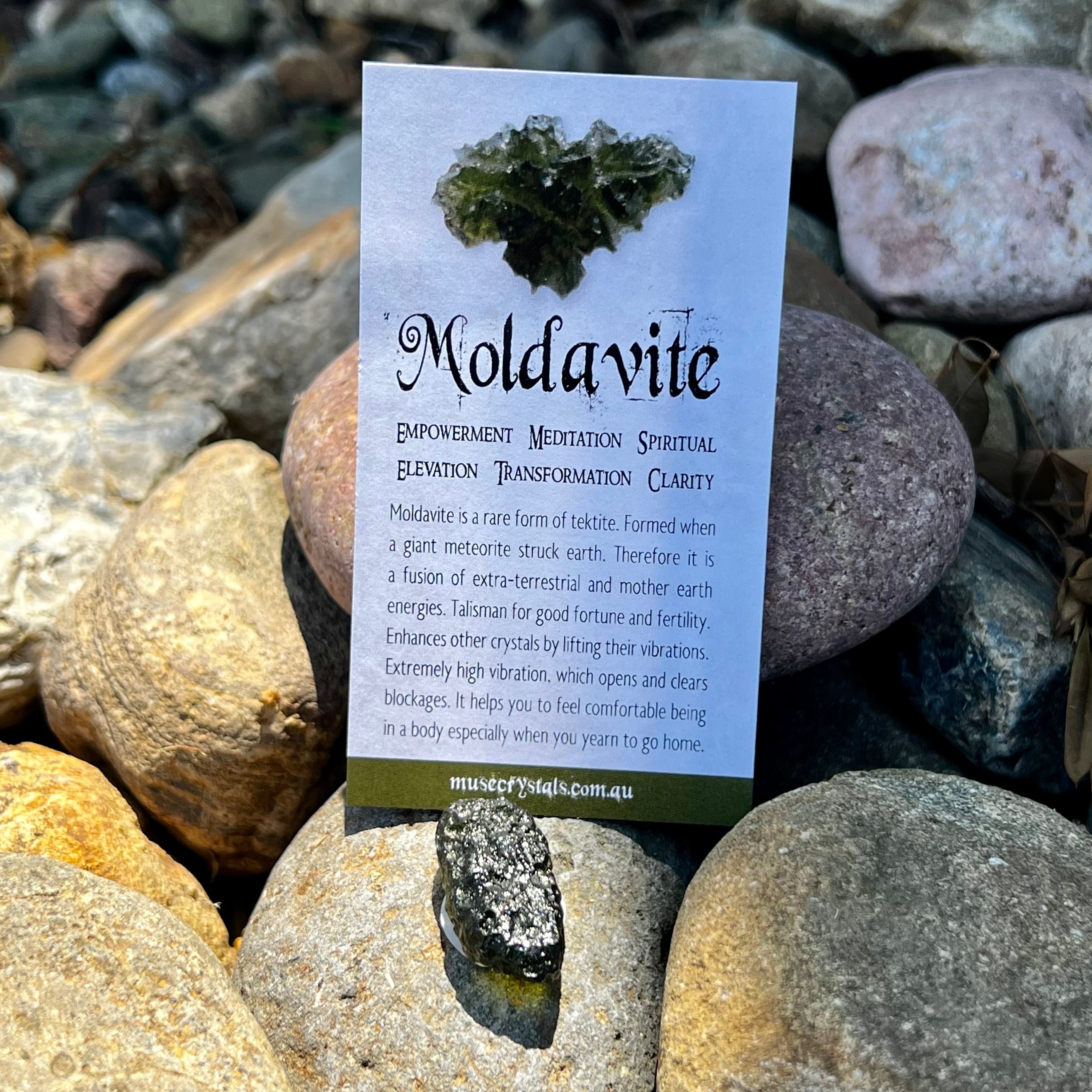 Raw Moldavite Specimen ~ RARE