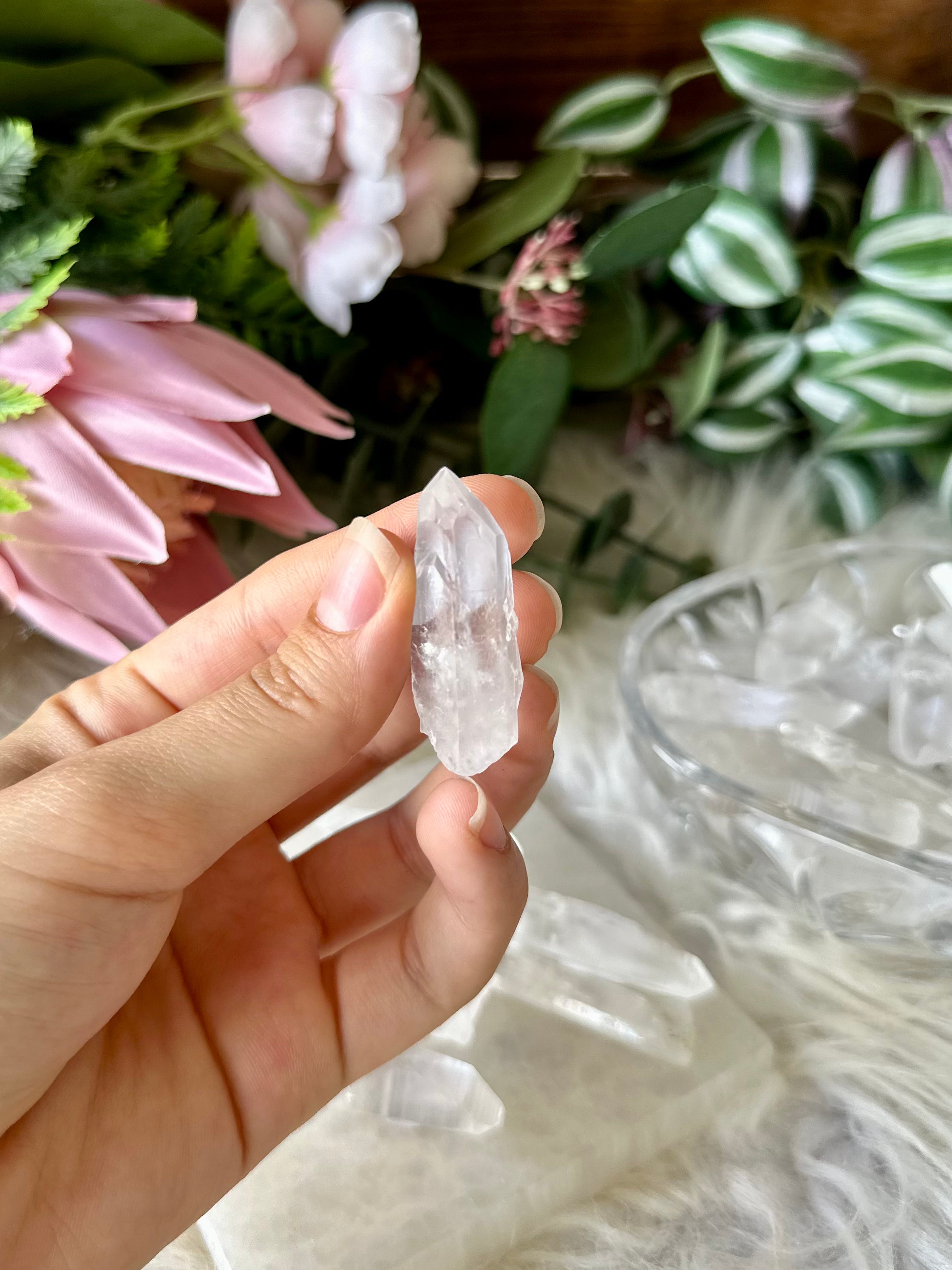 Lemurian Quartz Point - Muse Crystals & Mystical Gifts
