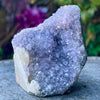 Amethyst Standing Cluster